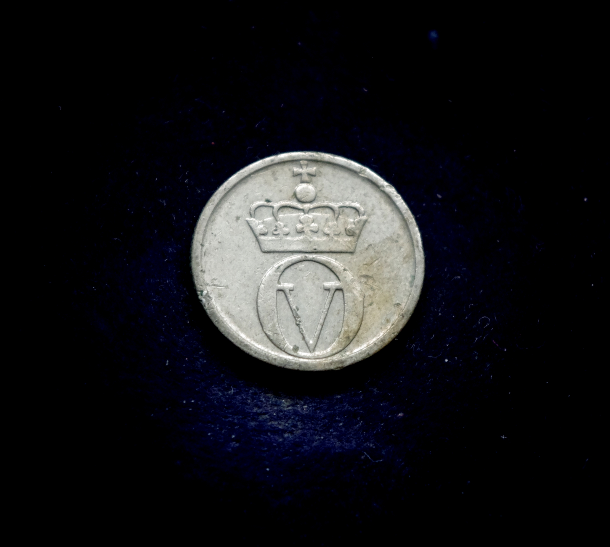 IMGP7220 moneta, 10 erių, Norvegija, bitė