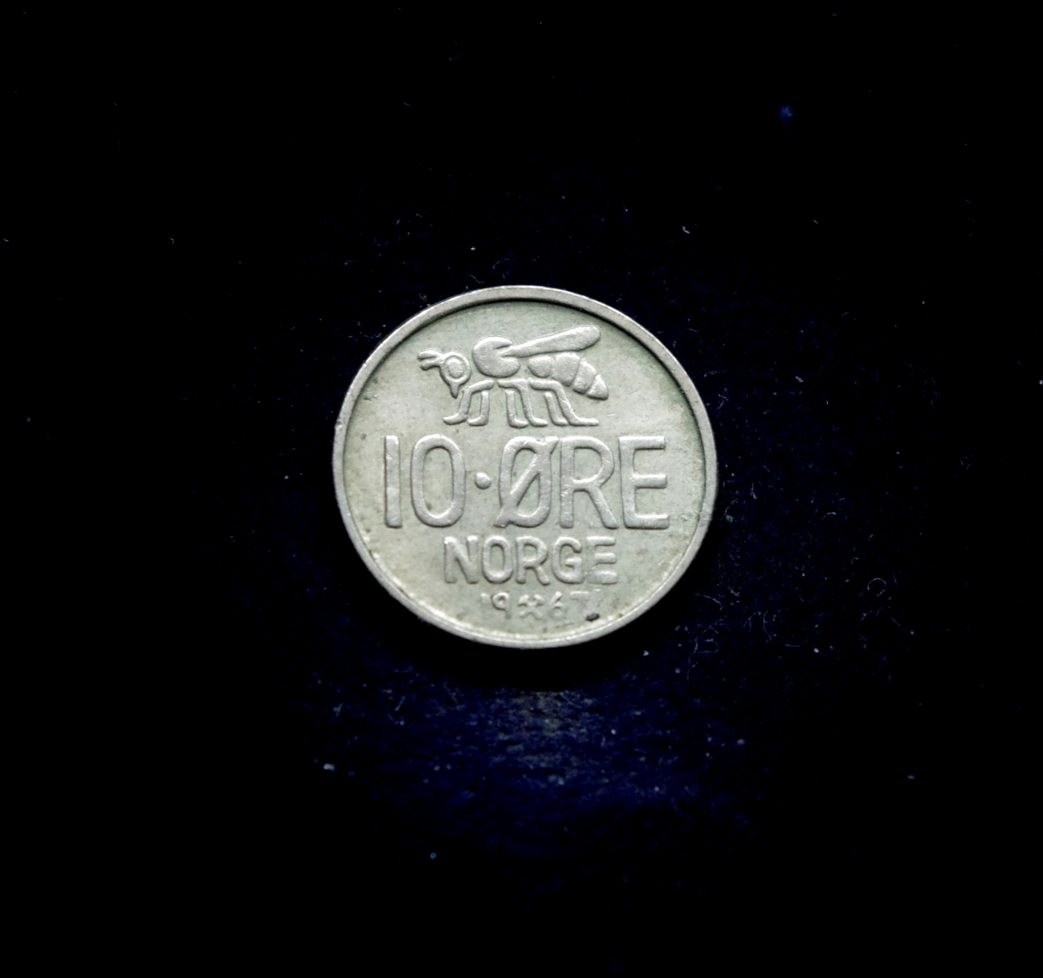 IMGP7225 moneta, 10 erių, Norvegija, bitė