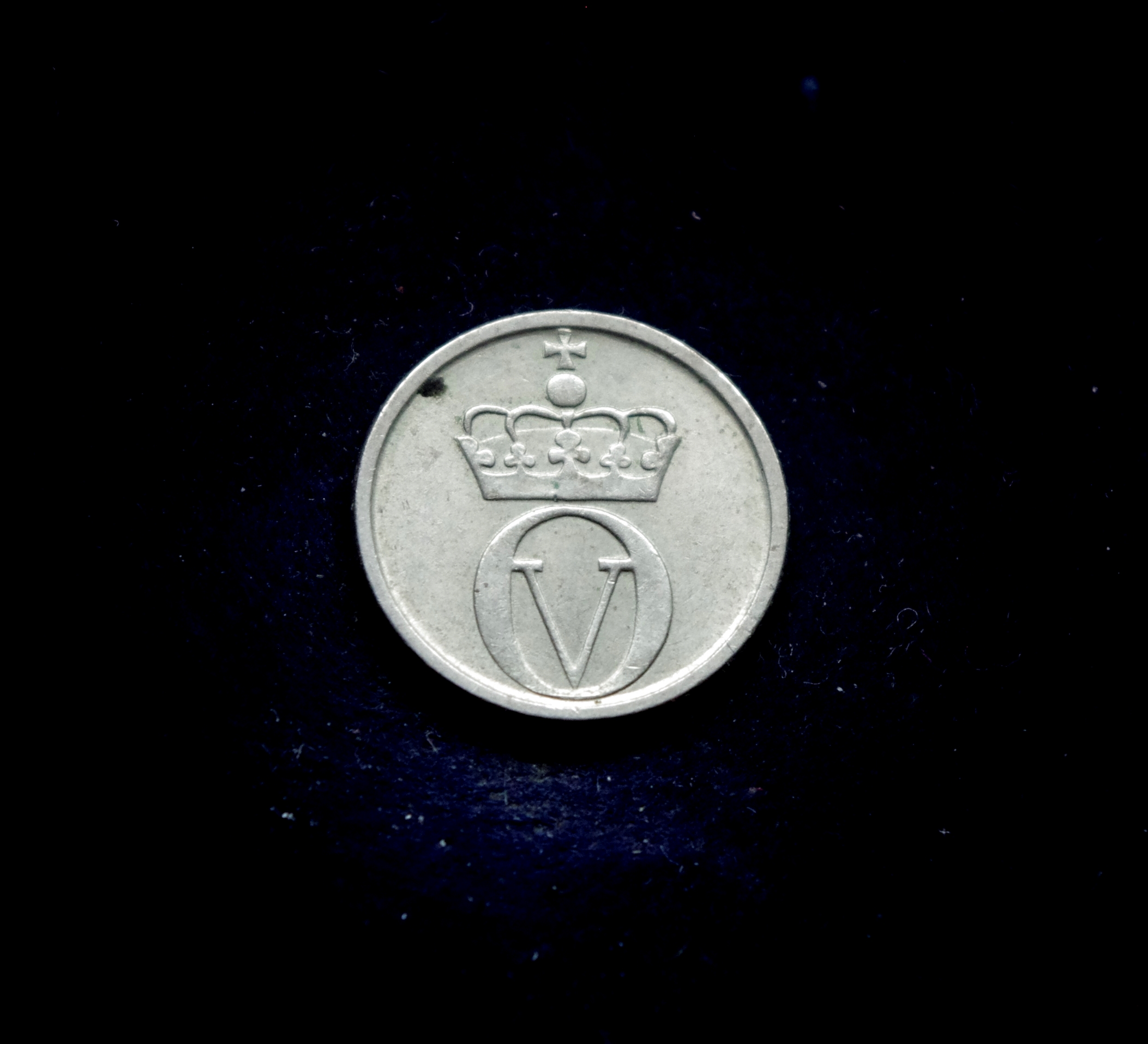 IMGP7228 moneta, 10 erių, Norvegija, bitė