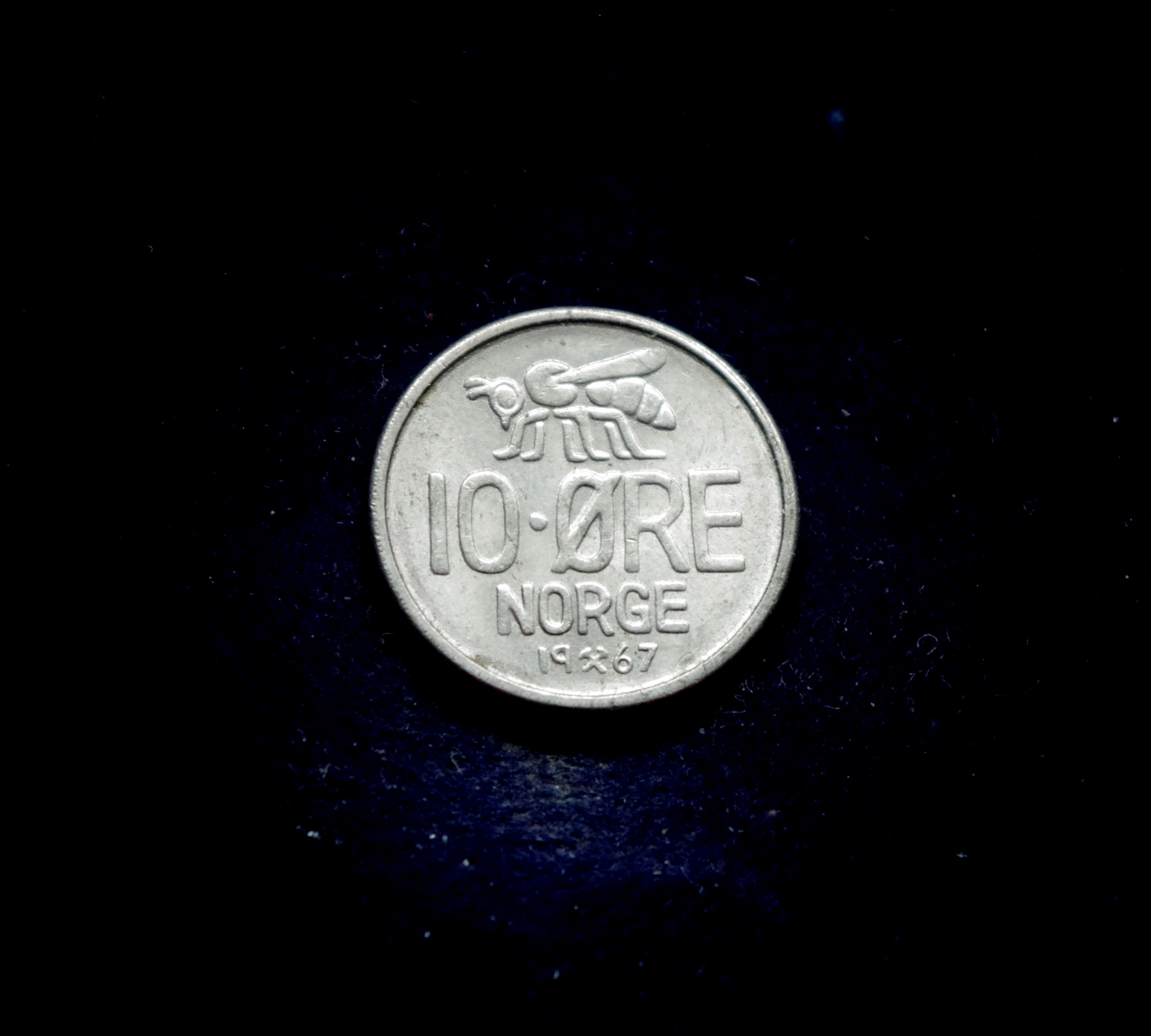 IMGP7229 moneta, 10 erių, Norvegija, bitė