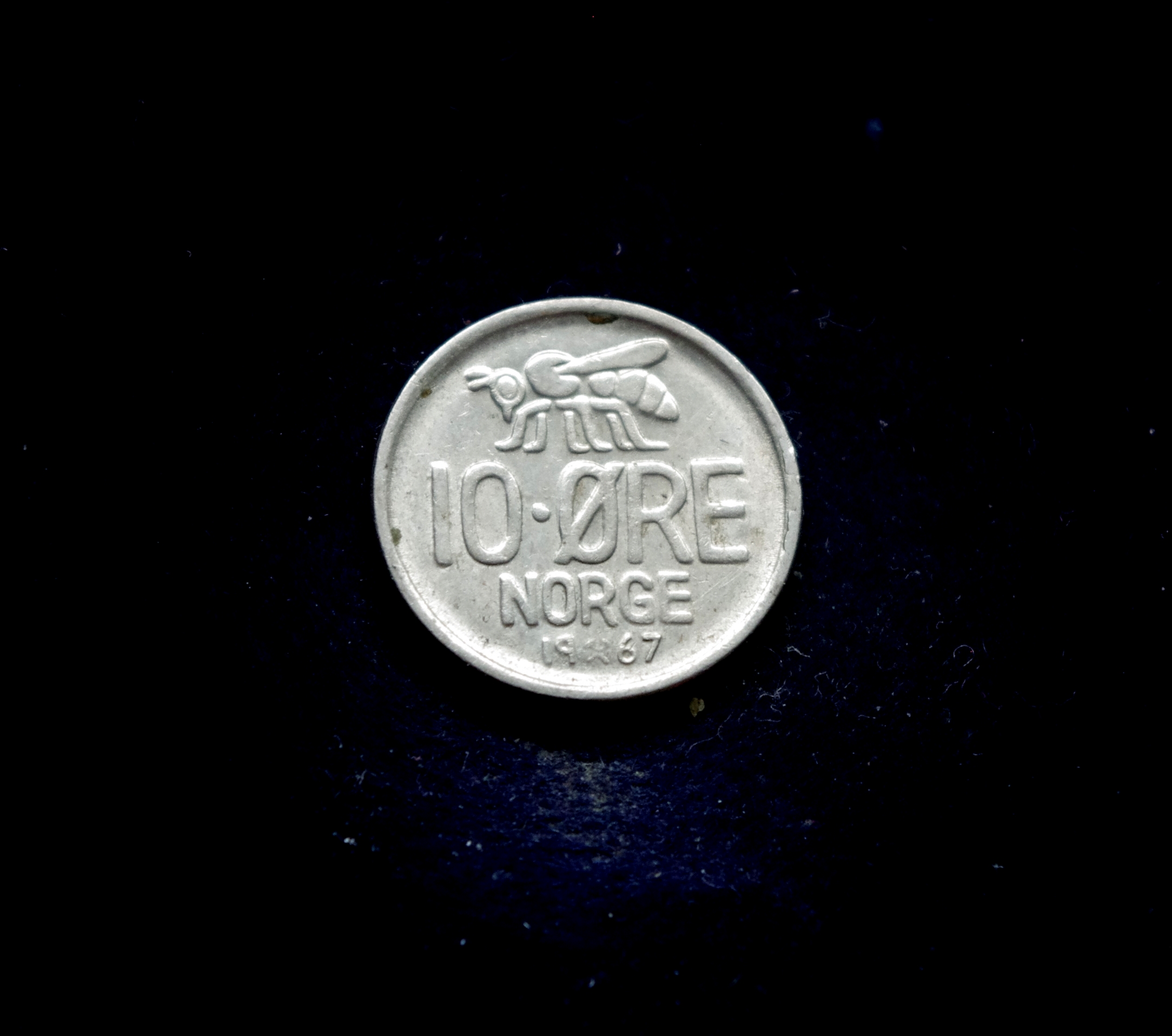 IMGP7234 moneta, 10 erių, Norvegija, bitė