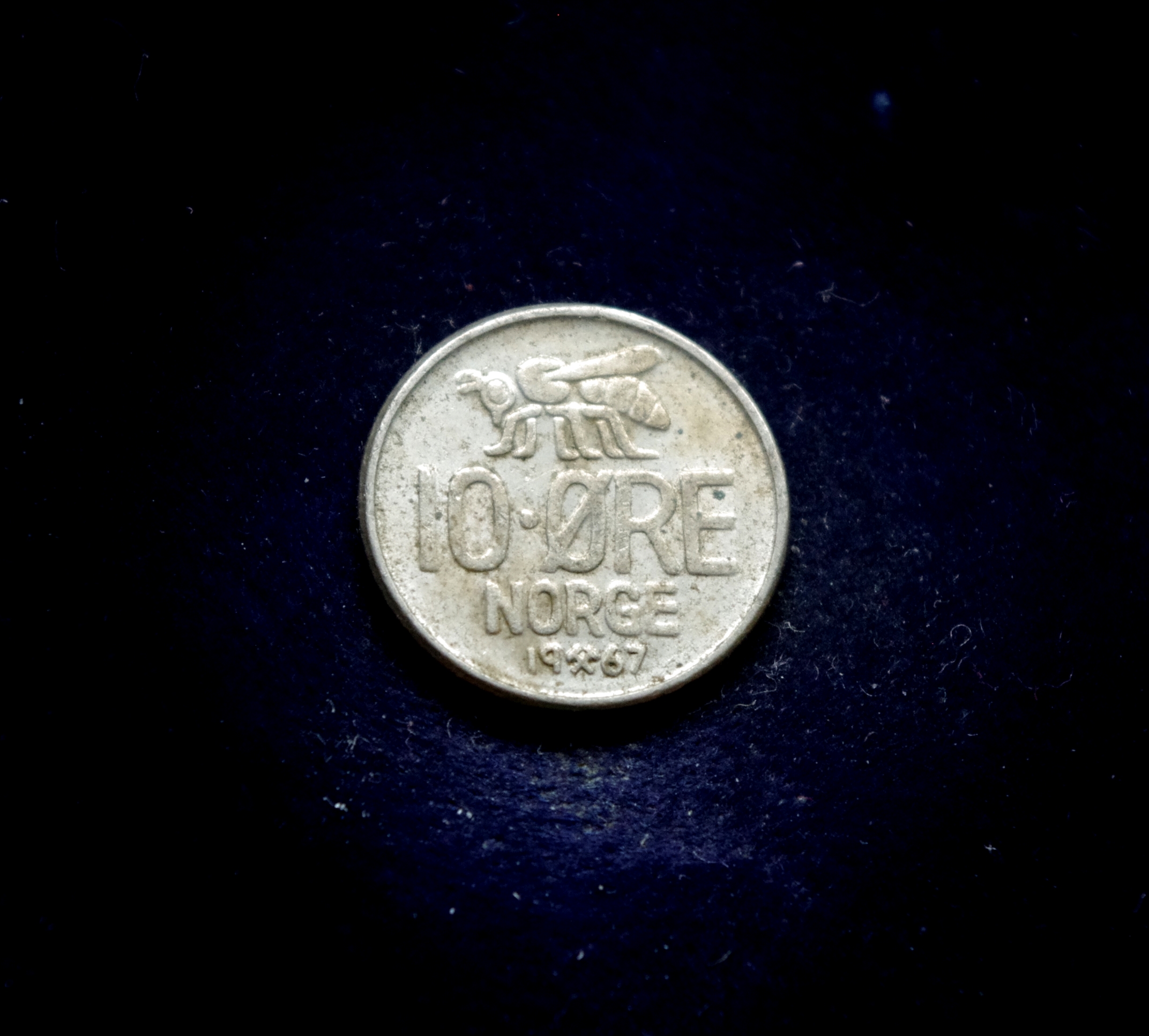 IMGP7237 moneta, 10 erių, Norvegija, bitė