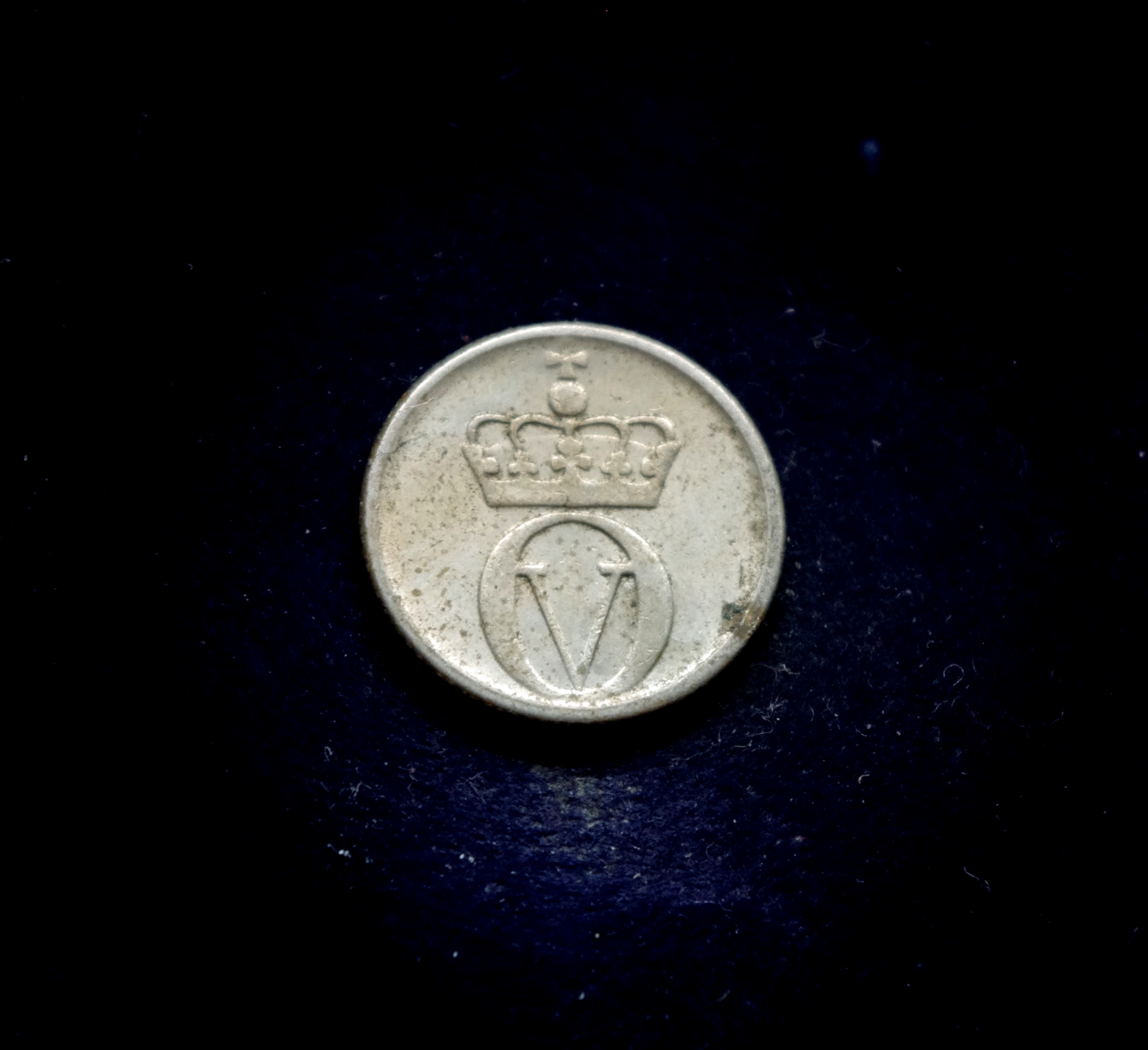 IMGP7239 moneta, 10 erių, Norvegija, bitė