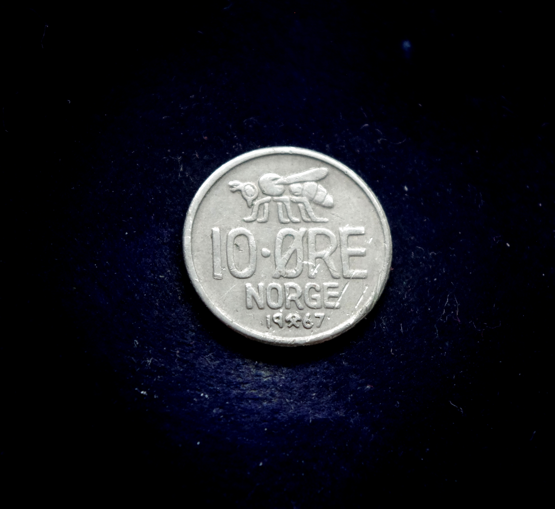 IMGP7242 moneta, 10 erių, Norvegija, bitė