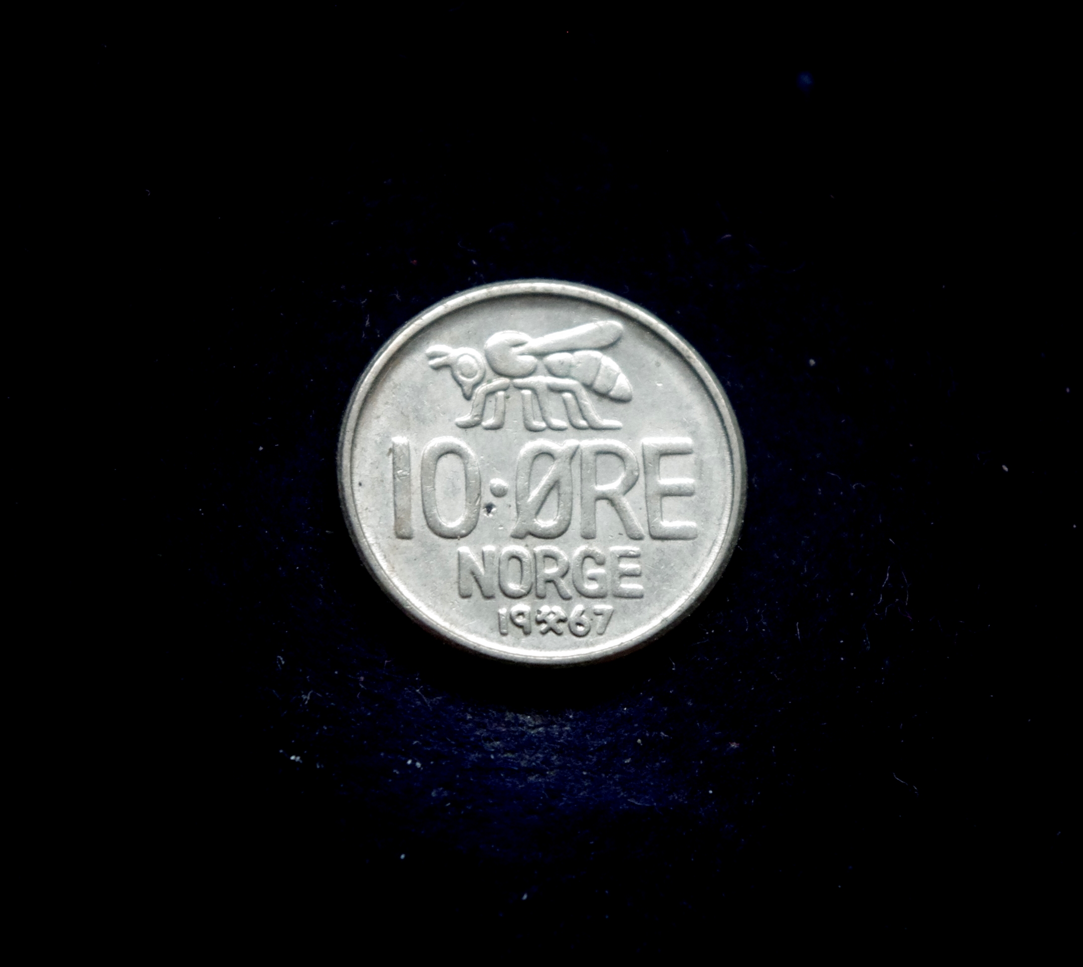 IMGP7246 moneta, 10 erių, Norvegija, bitė