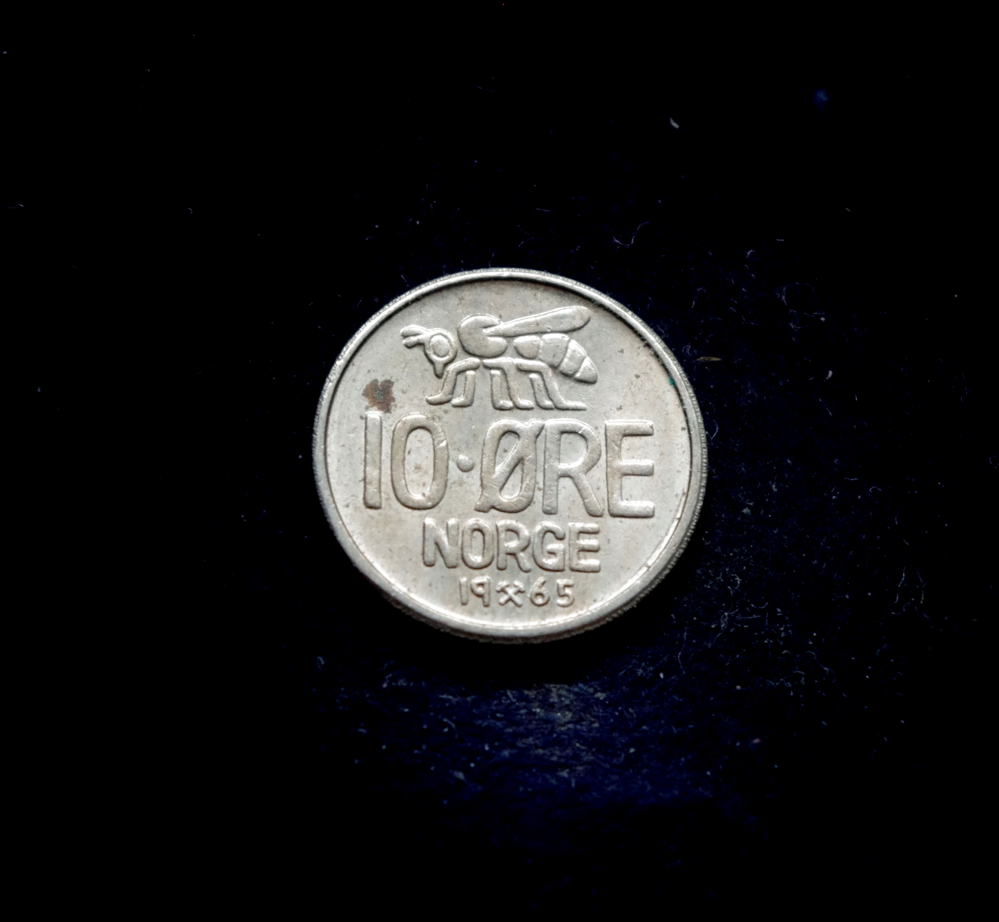 IMGP7269 moneta, 10 erių, Norvegija, bitė