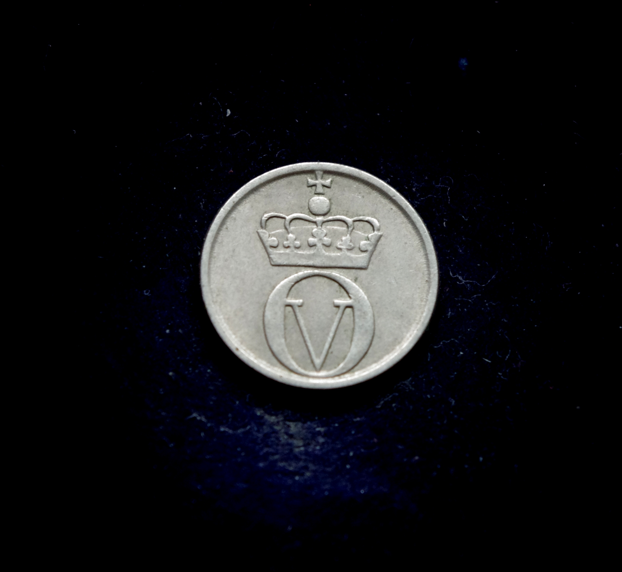 IMGP7303 moneta, 10 erių, Norvegija, bitė