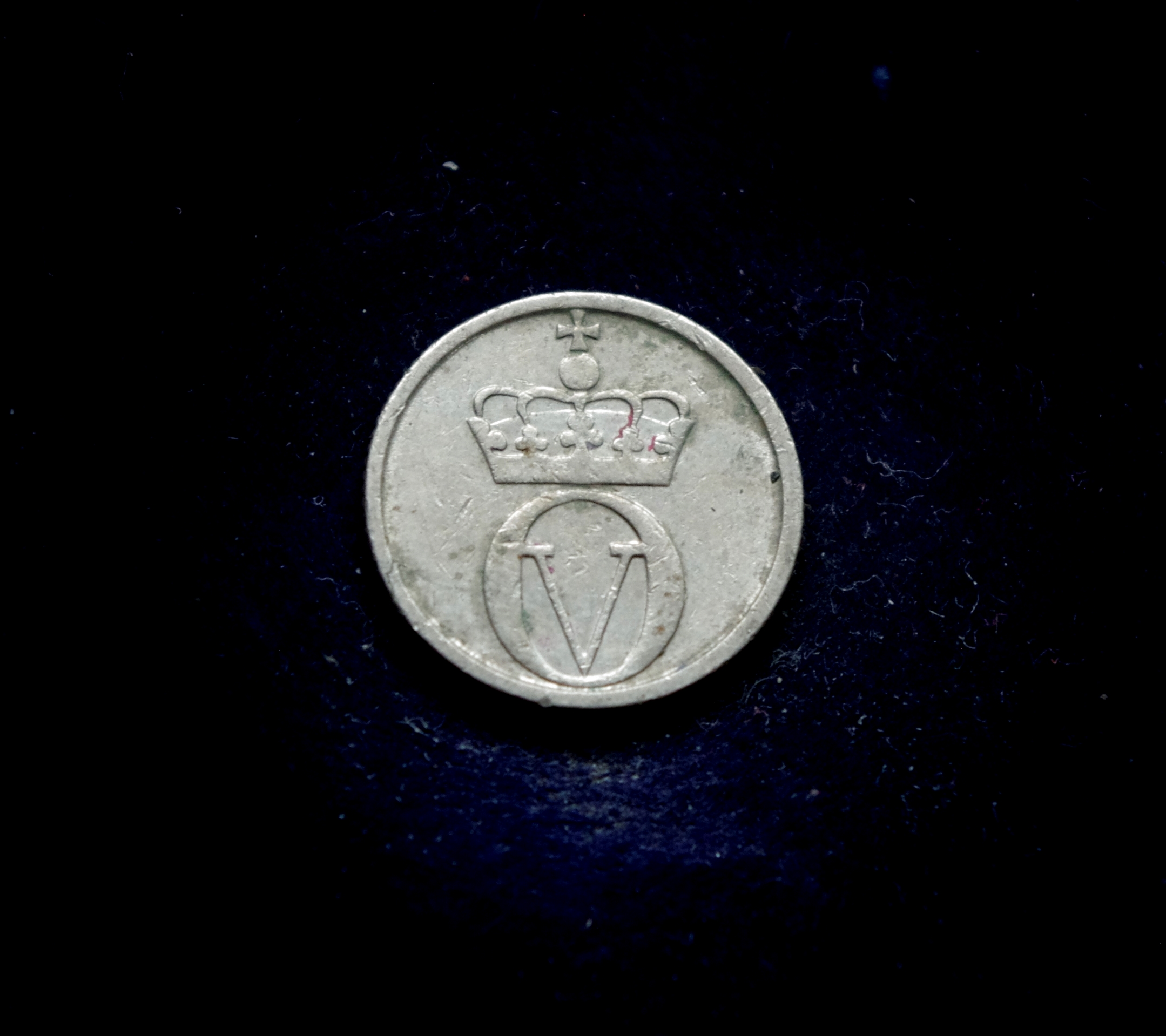 IMGP7307 moneta, 10 erių, Norvegija, bitė