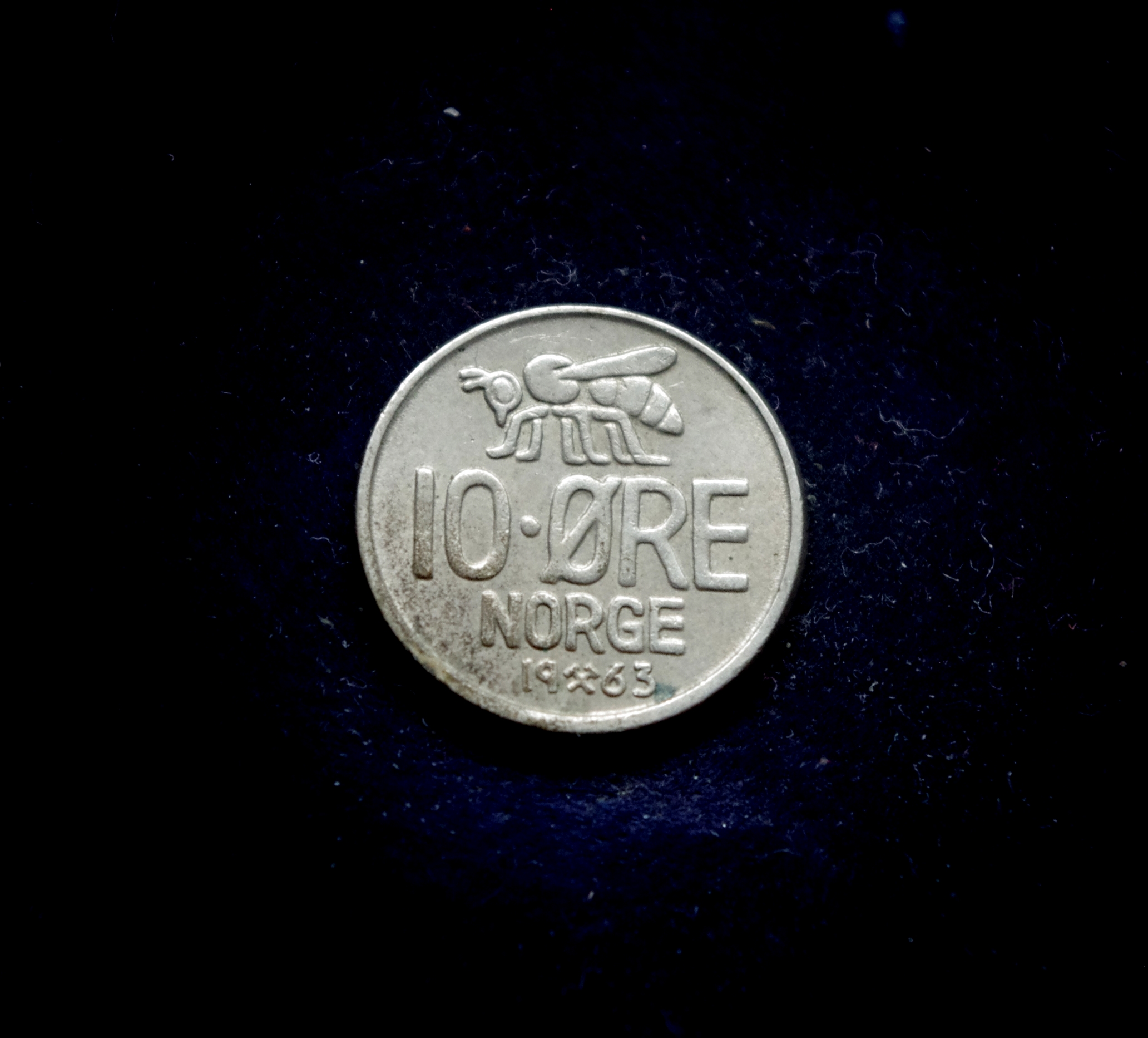 IMGP7309 moneta, 10 erių, Norvegija, bitė