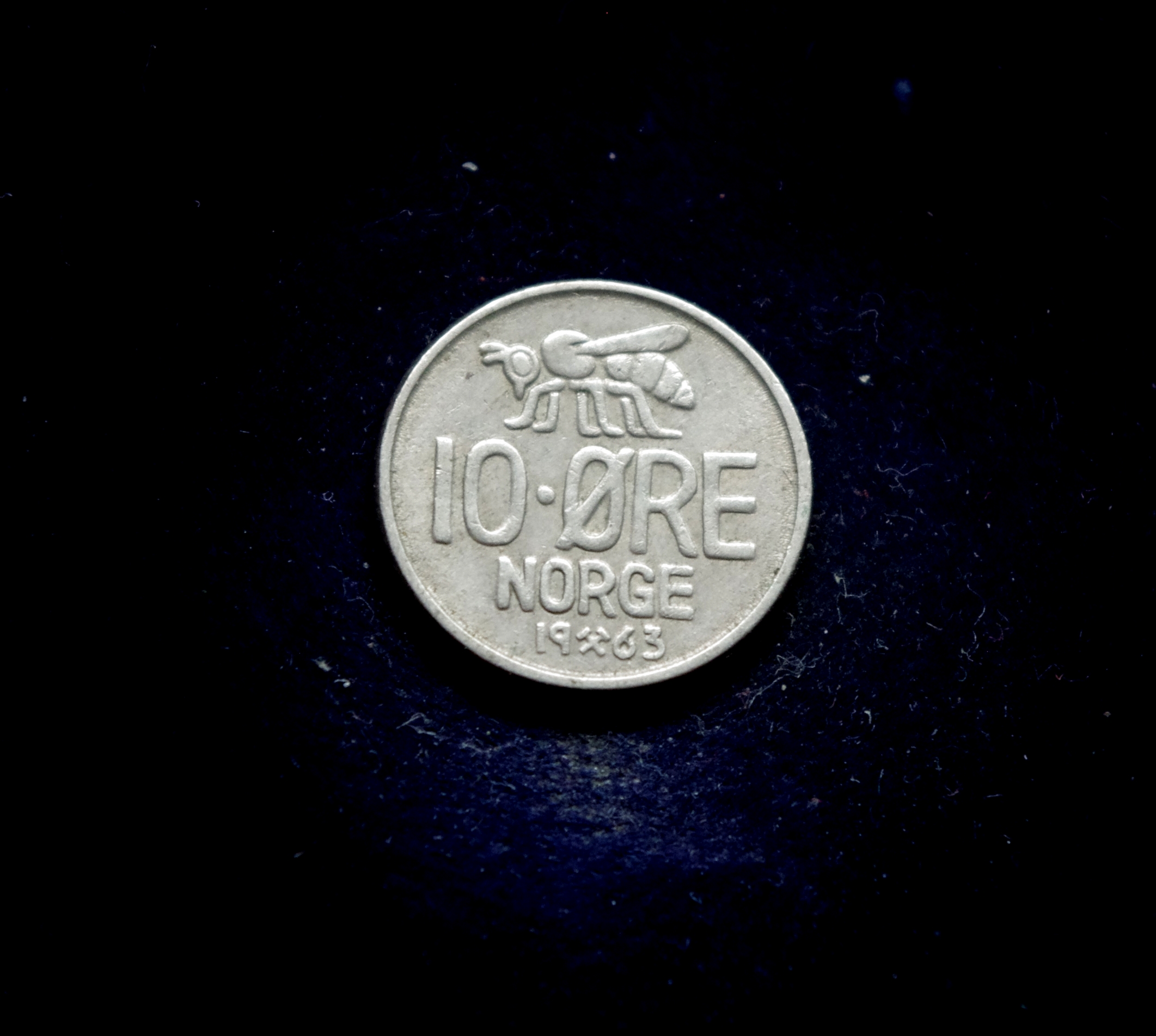 IMGP7313 moneta, 10 erių, Norvegija, bitė