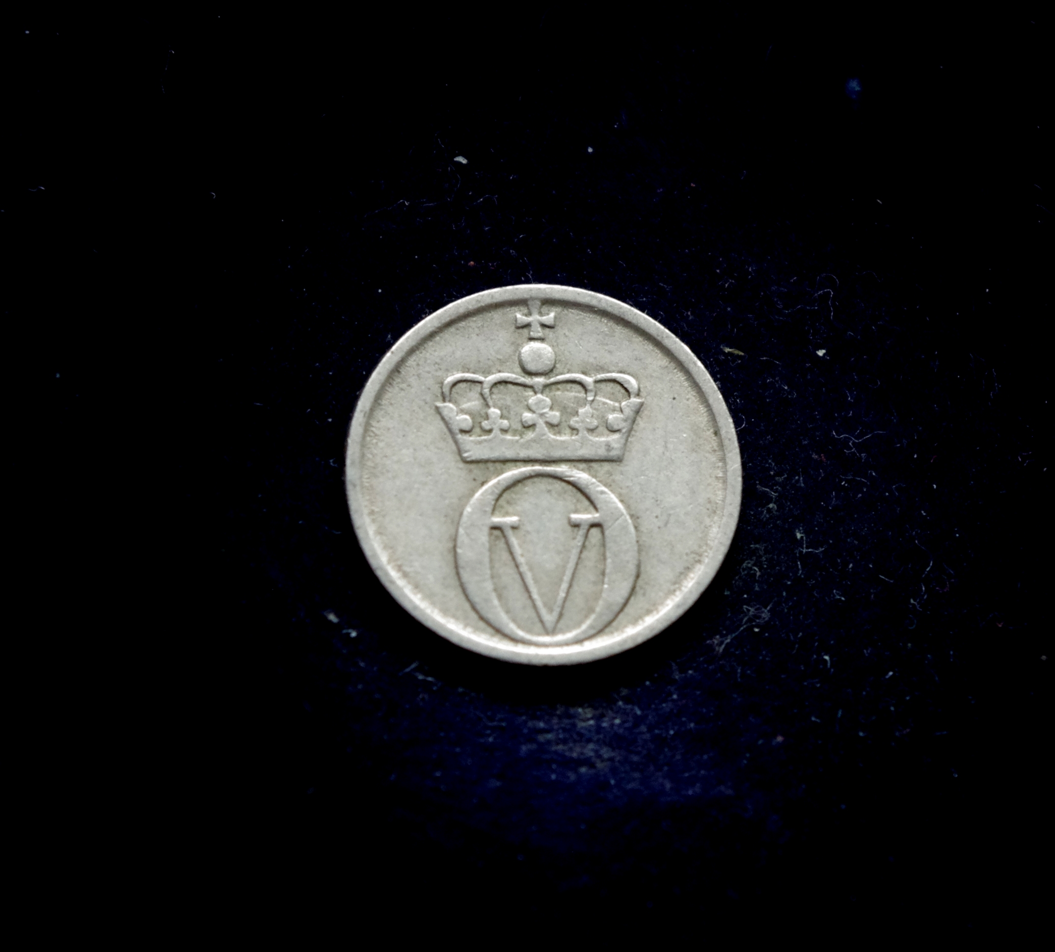 IMGP7316 moneta, 10 erių, Norvegija, bitė