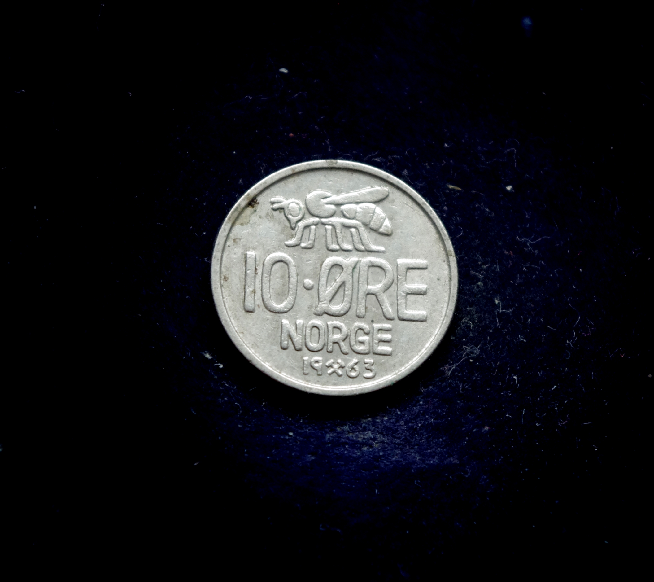 IMGP7317 moneta, 10 erių, Norvegija, bitė