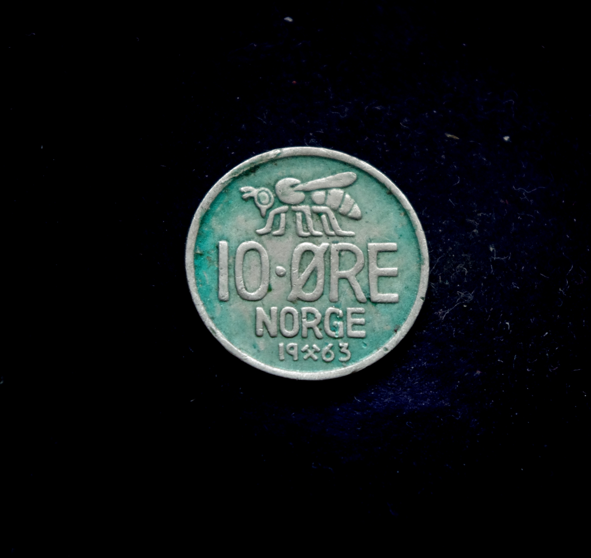 IMGP7322 moneta, 10 erių, Norvegija, bitė