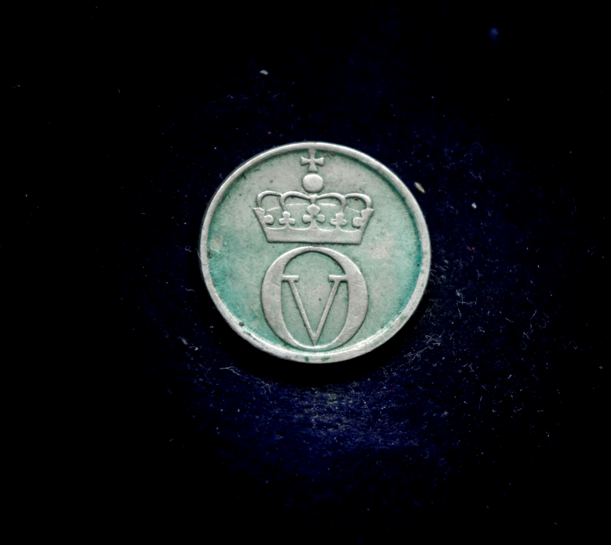 IMGP7324 moneta, 10 erių, Norvegija, bitė