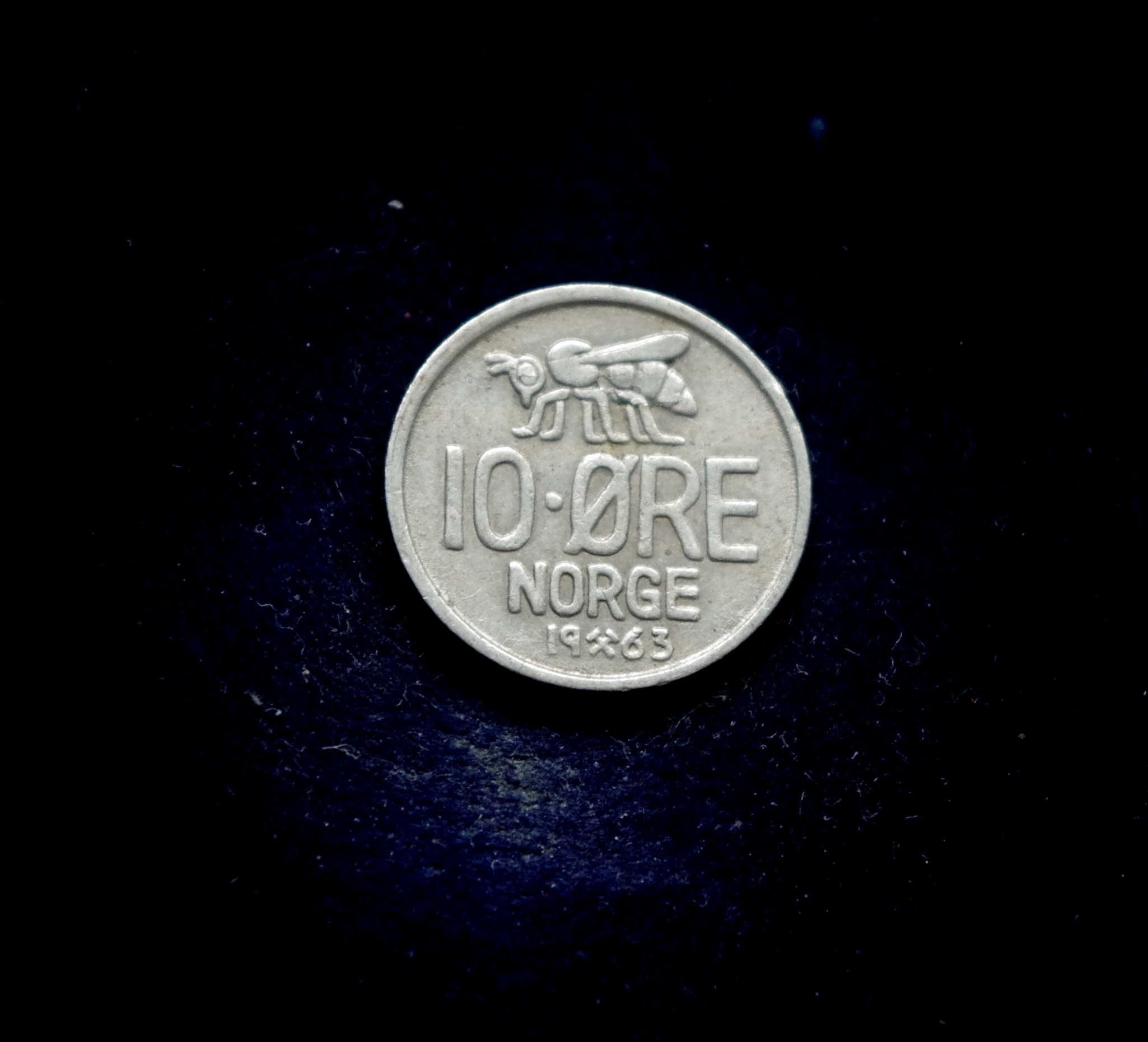 IMGP7325 moneta, 10 erių, Norvegija, bitė