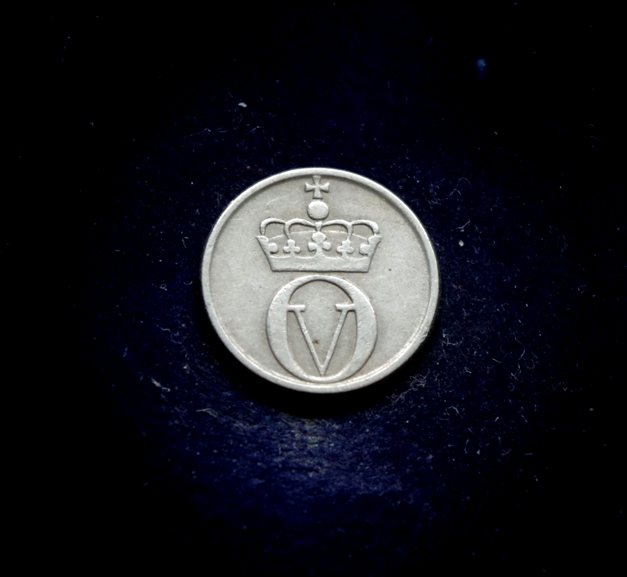 IMGP7327 moneta, 10 erių, Norvegija, bitė