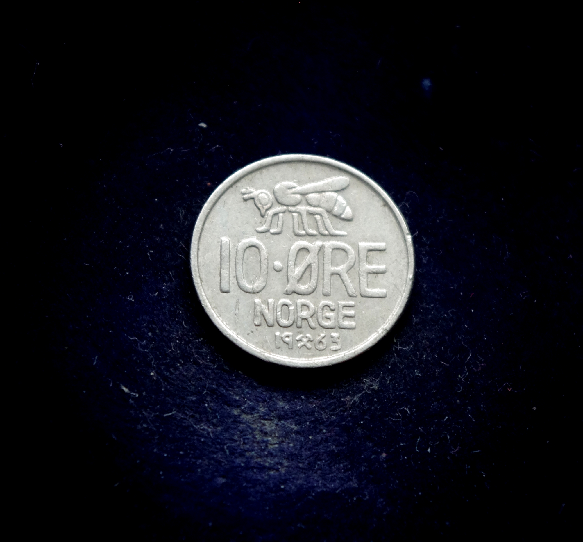 IMGP7330 moneta, 10 erių, Norvegija, bitė