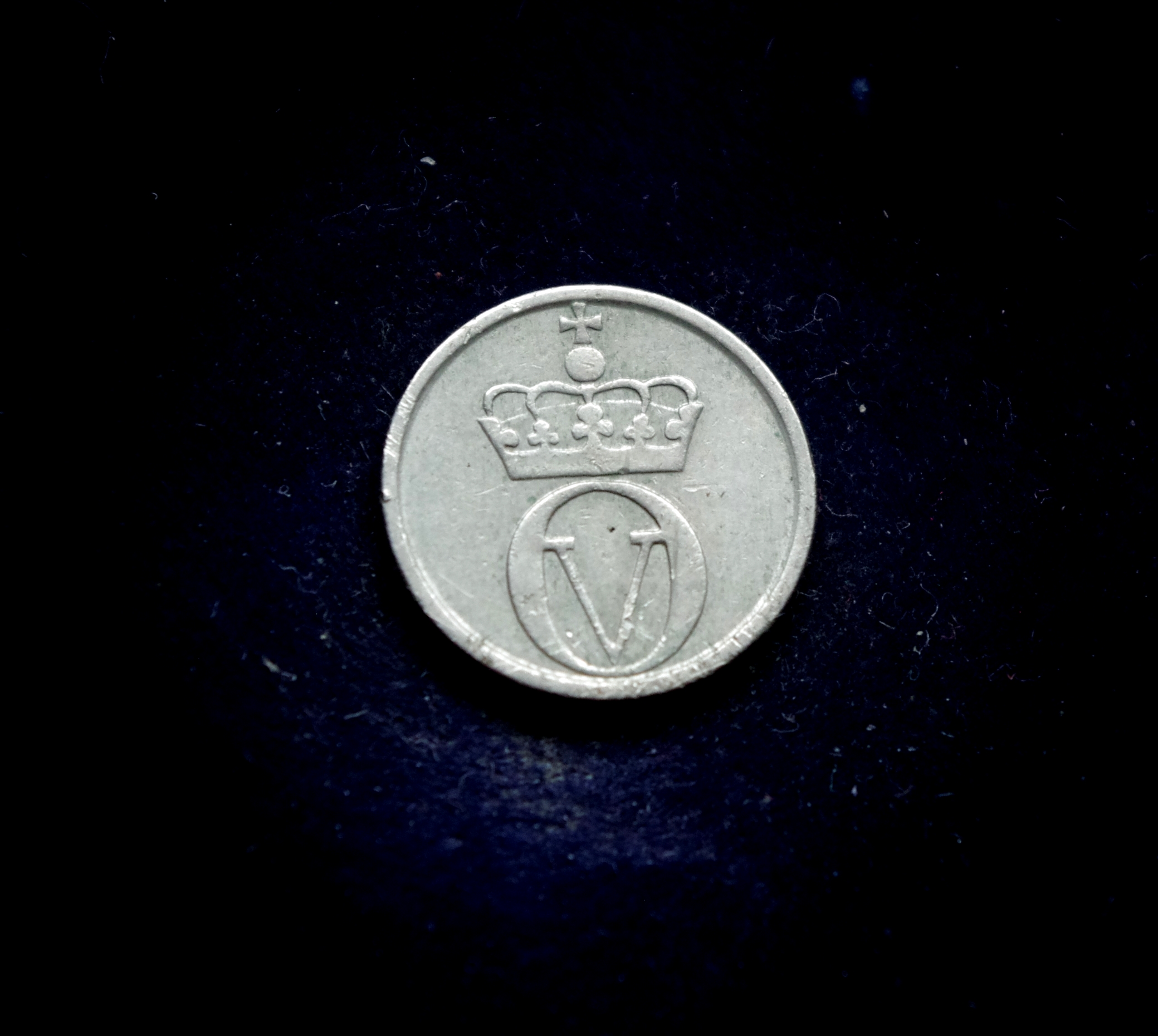 IMGP7331 moneta, 10 erių, Norvegija, bitė