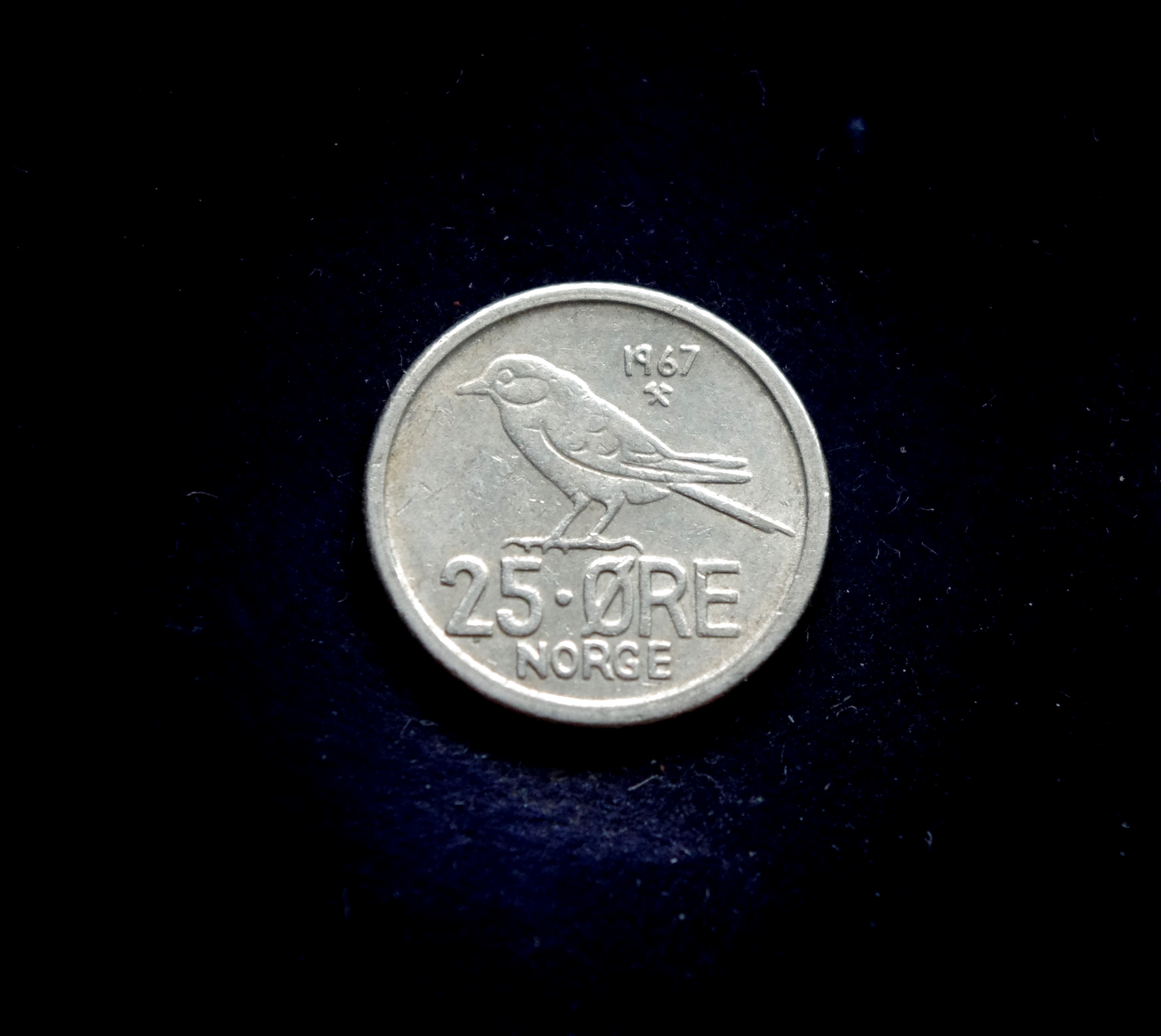 moneta, 25 erės, Norvegija, paukštis zylė