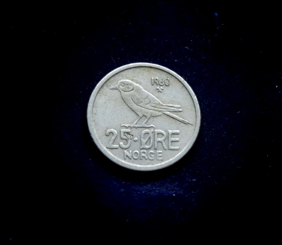 moneta, 25 erės, Norvegija, paukštis zylė