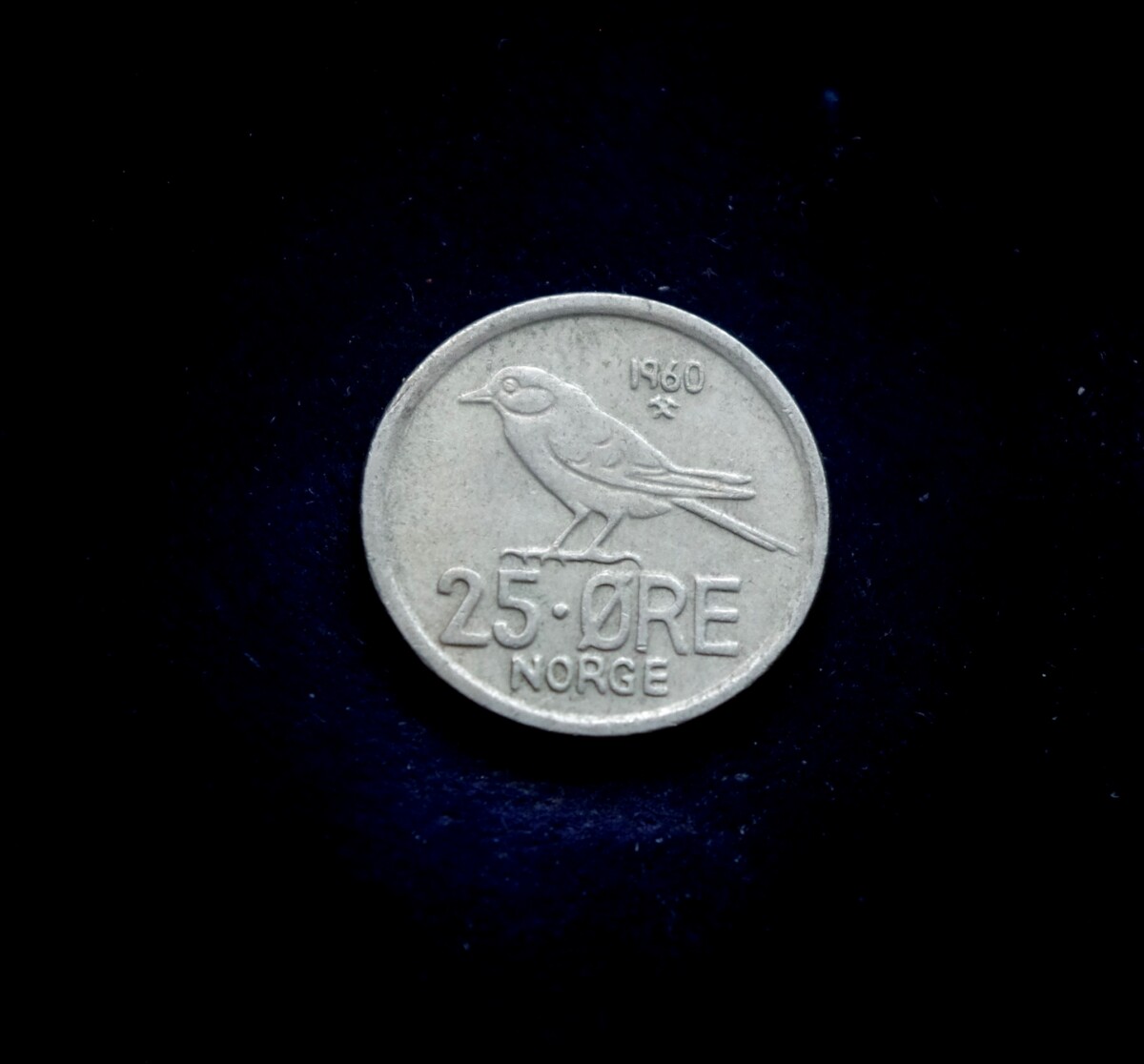 moneta, 25 erės, Norvegija, paukštis zylė