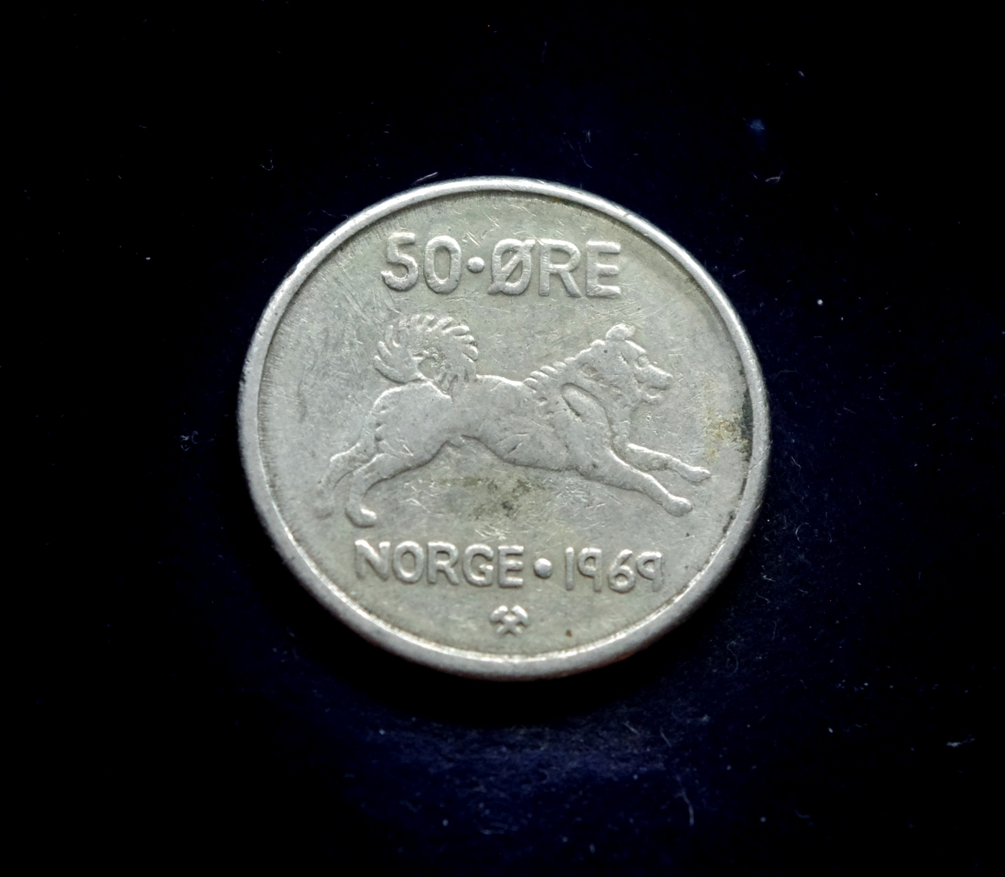 IMGP8058 moneta, 50 erių, Norvegija, šuo