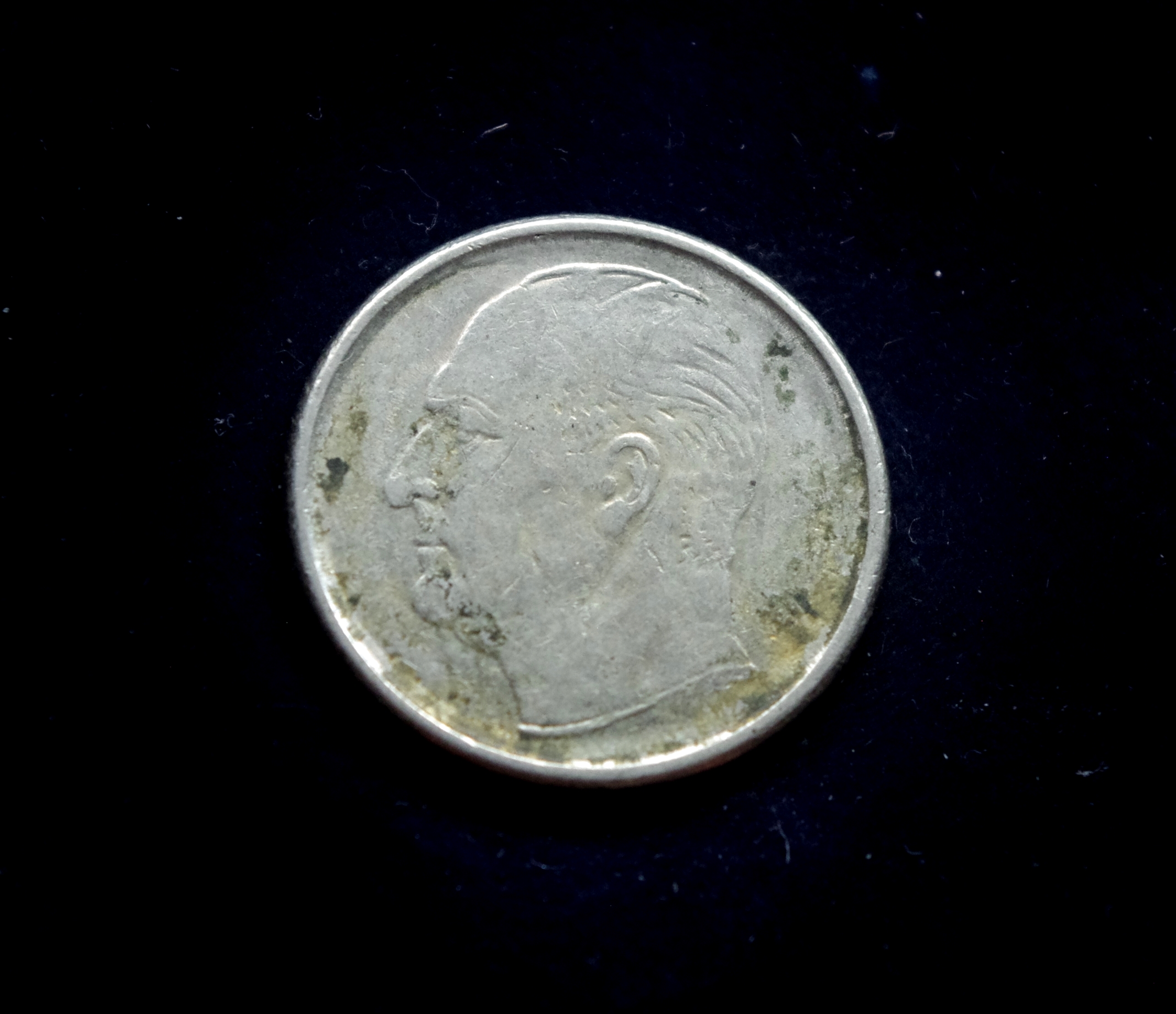 IMGP8060 moneta, 50 erių, Norvegija, šuo