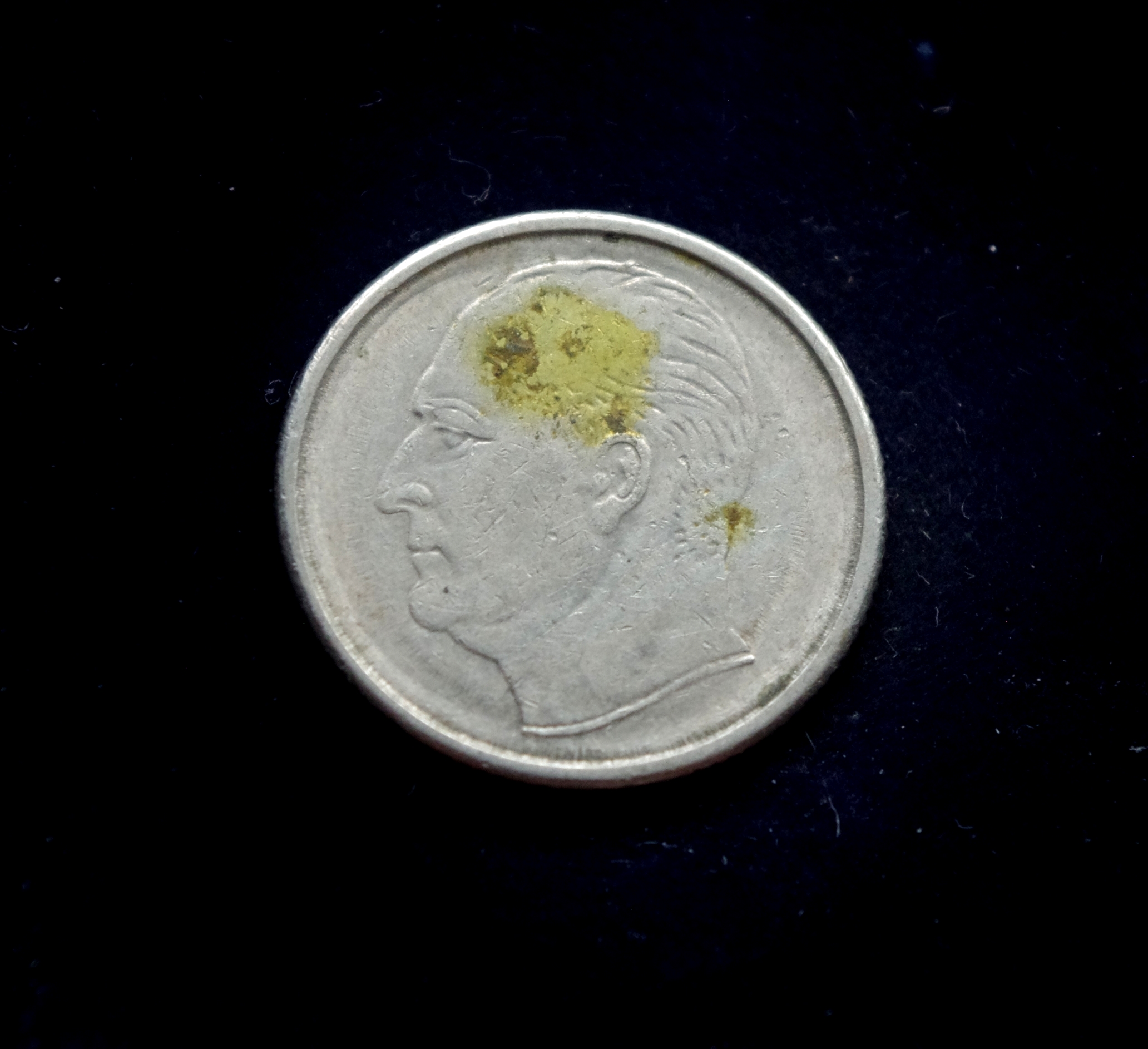 IMGP8064 moneta, 50 erių, Norvegija, šuo