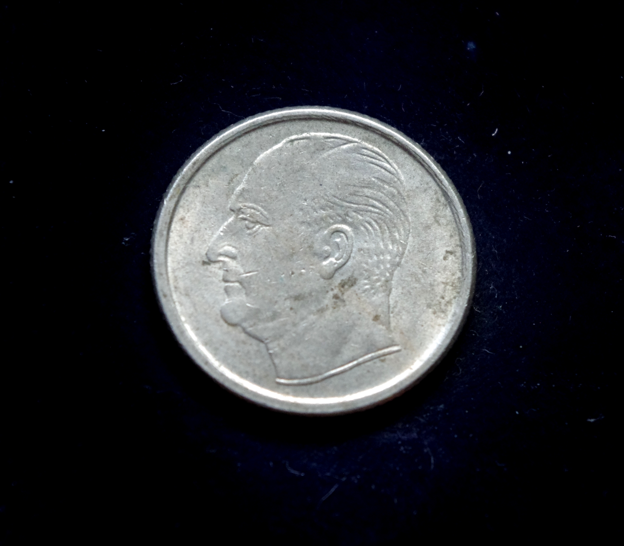 moneta, 50 erių, Norvegija, šuo