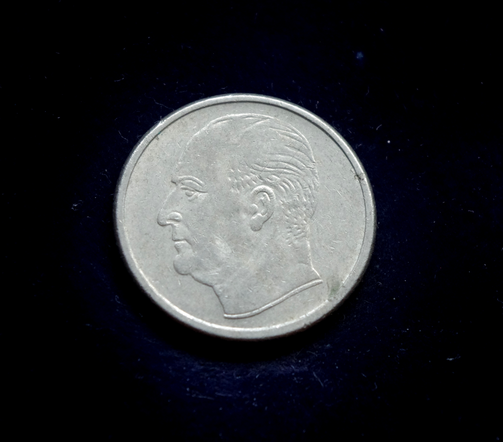 IMGP8091 moneta, 50 erių, Norvegija, šuo