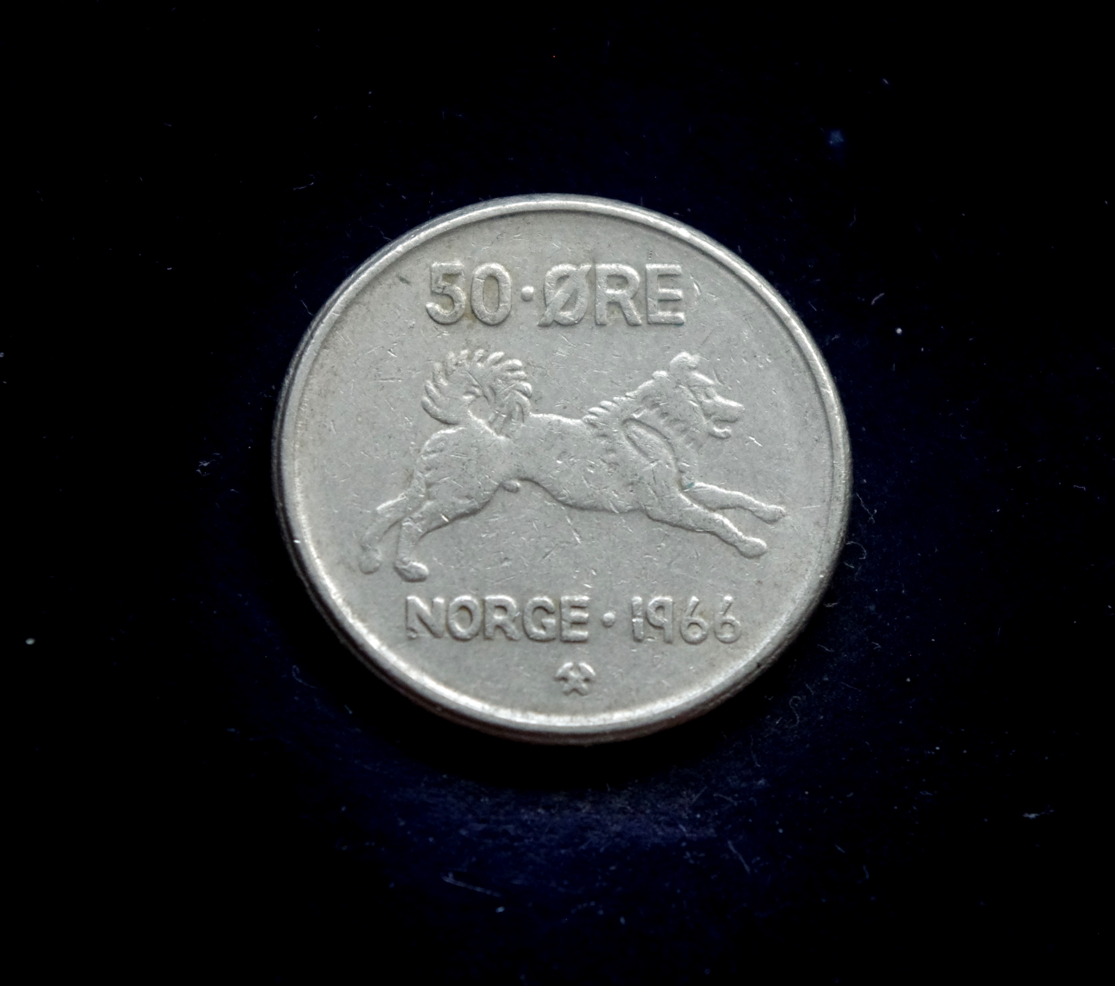 IMGP8092 moneta, 50 erių, Norvegija, šuo