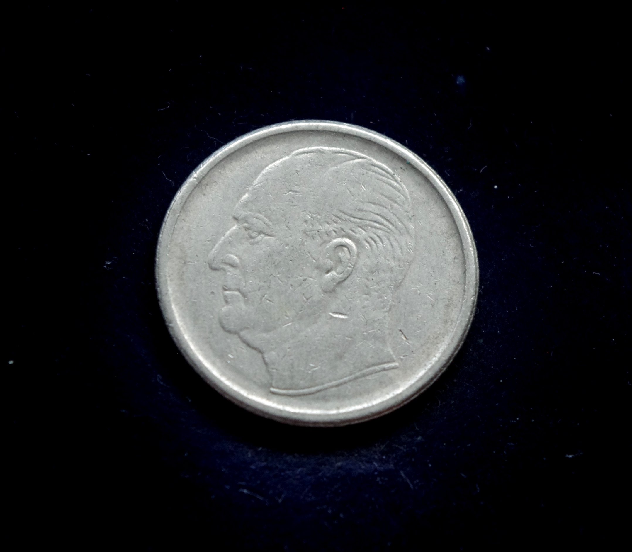 IMGP8094 moneta, 50 erių, Norvegija, šuo