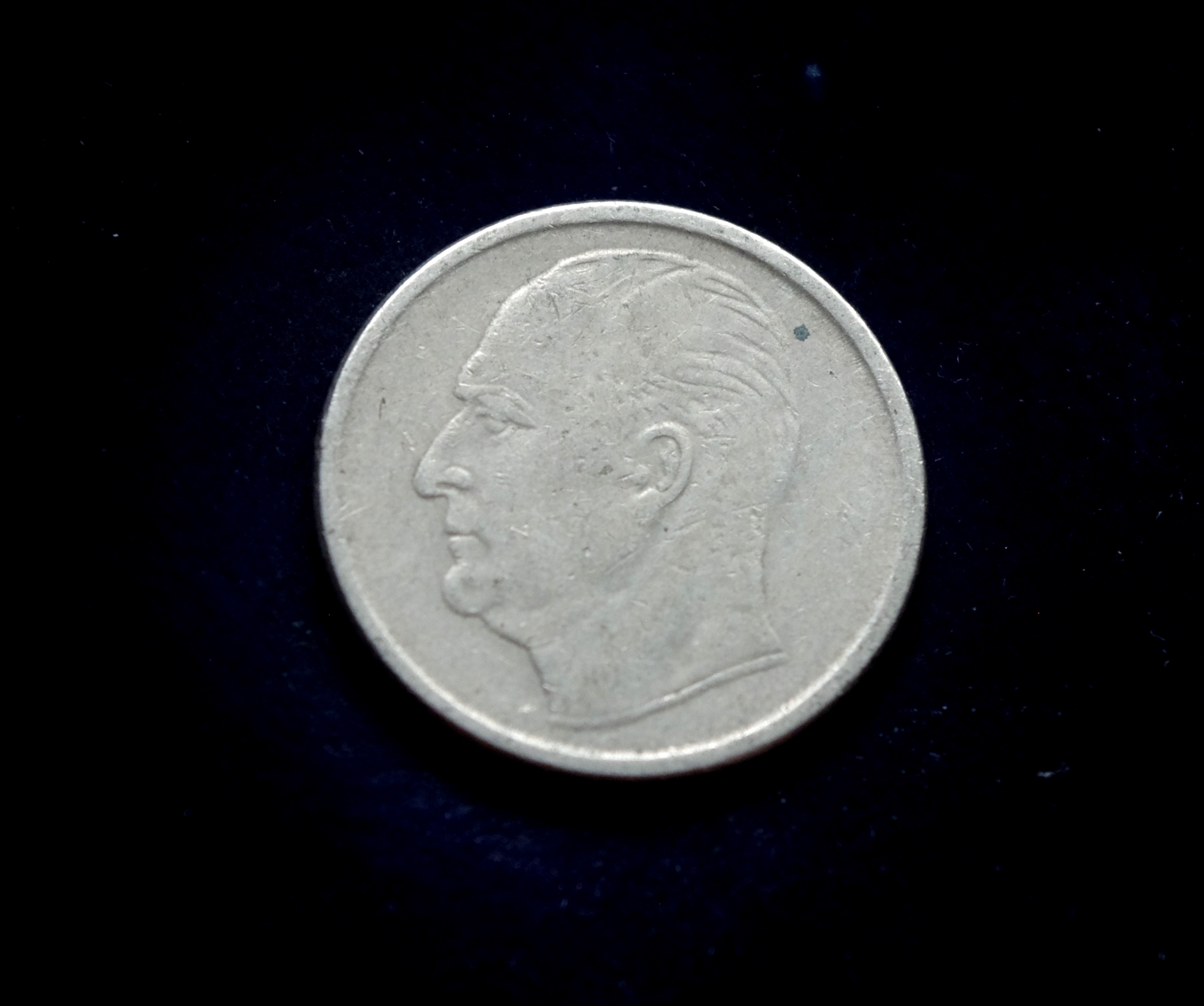 moneta, 50 erių, Norvegija, šuo