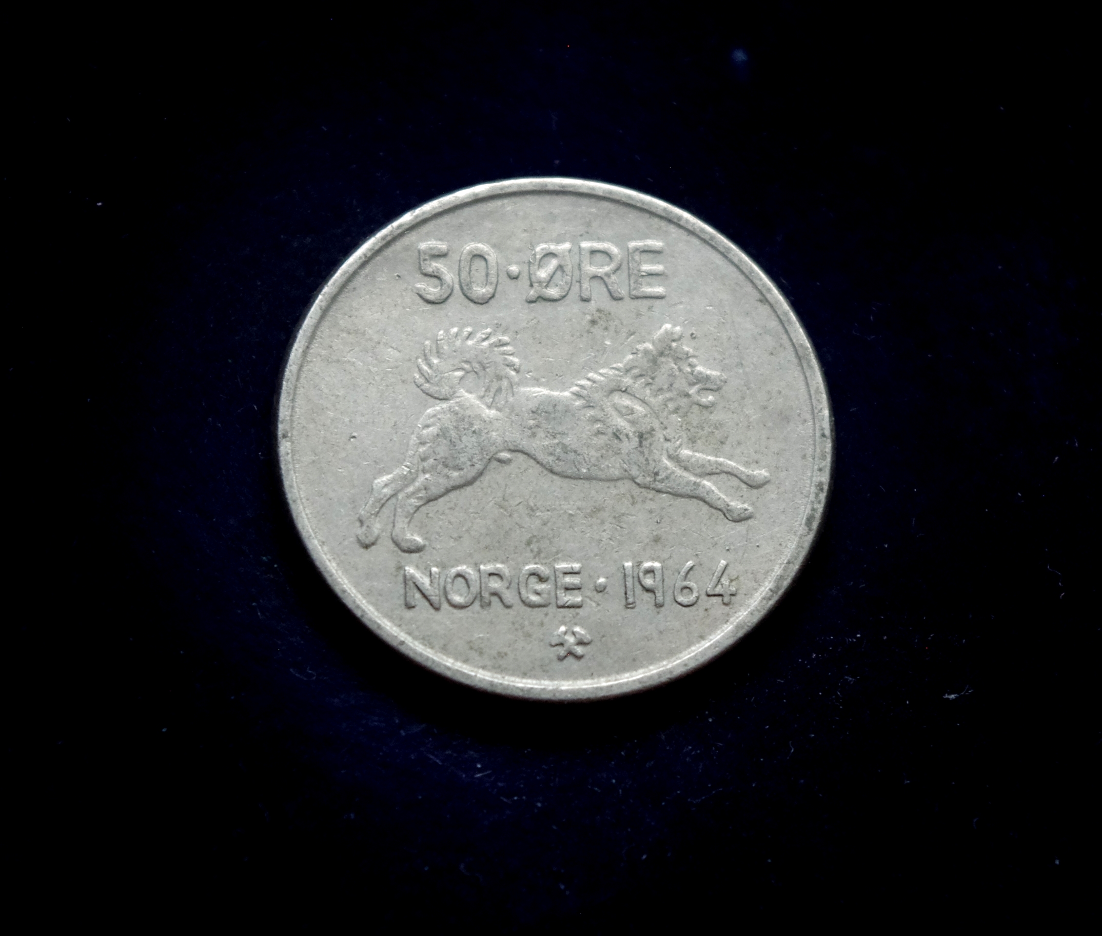 IMGP8104 moneta, 50 erių, Norvegija, šuo