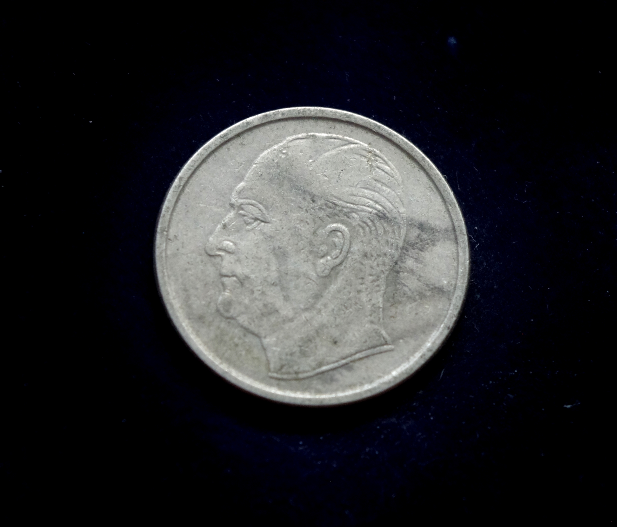 IMGP8106 moneta, 50 erių, Norvegija, šuo