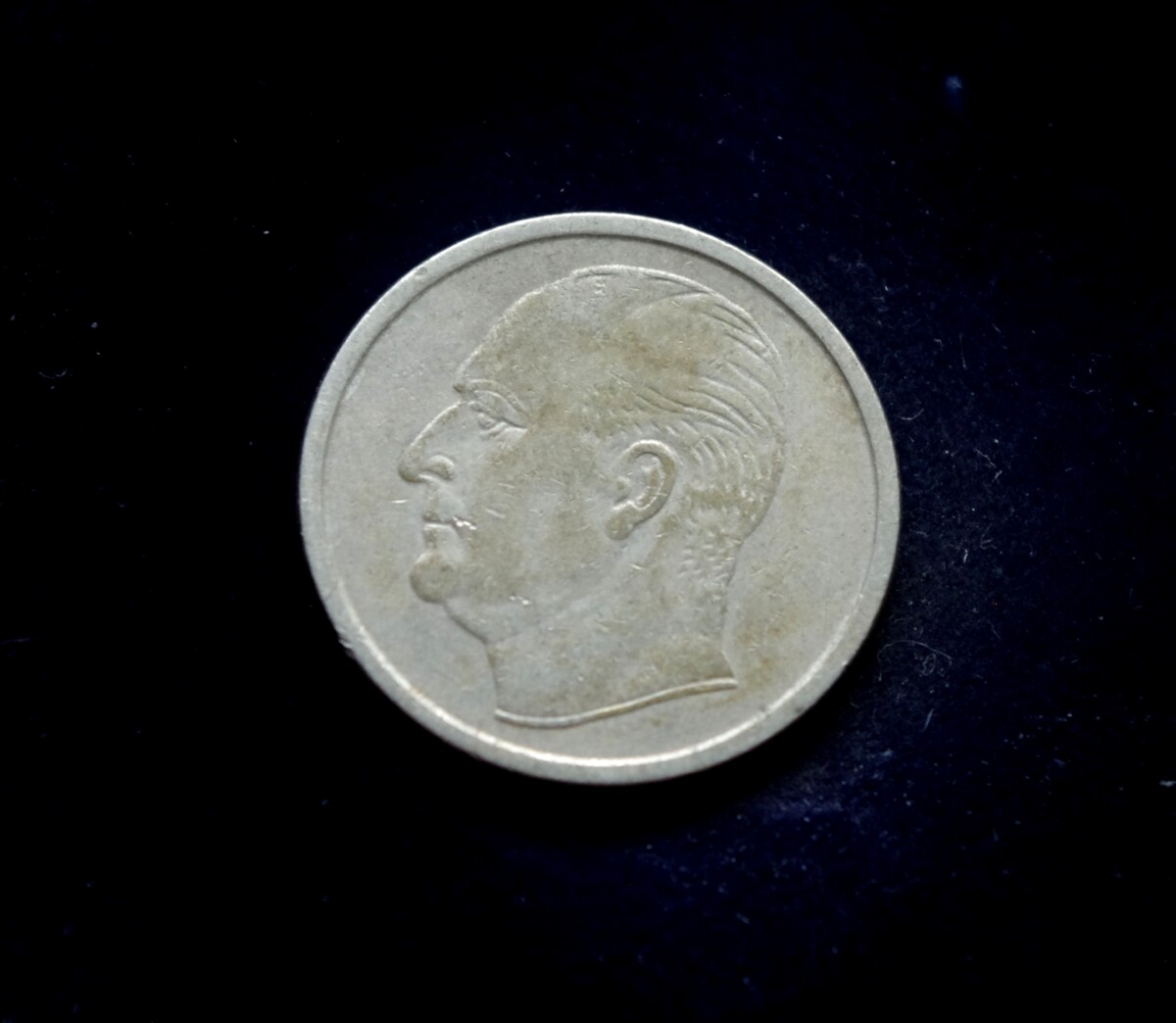 moneta, 50 erių, Norvegija, šuo