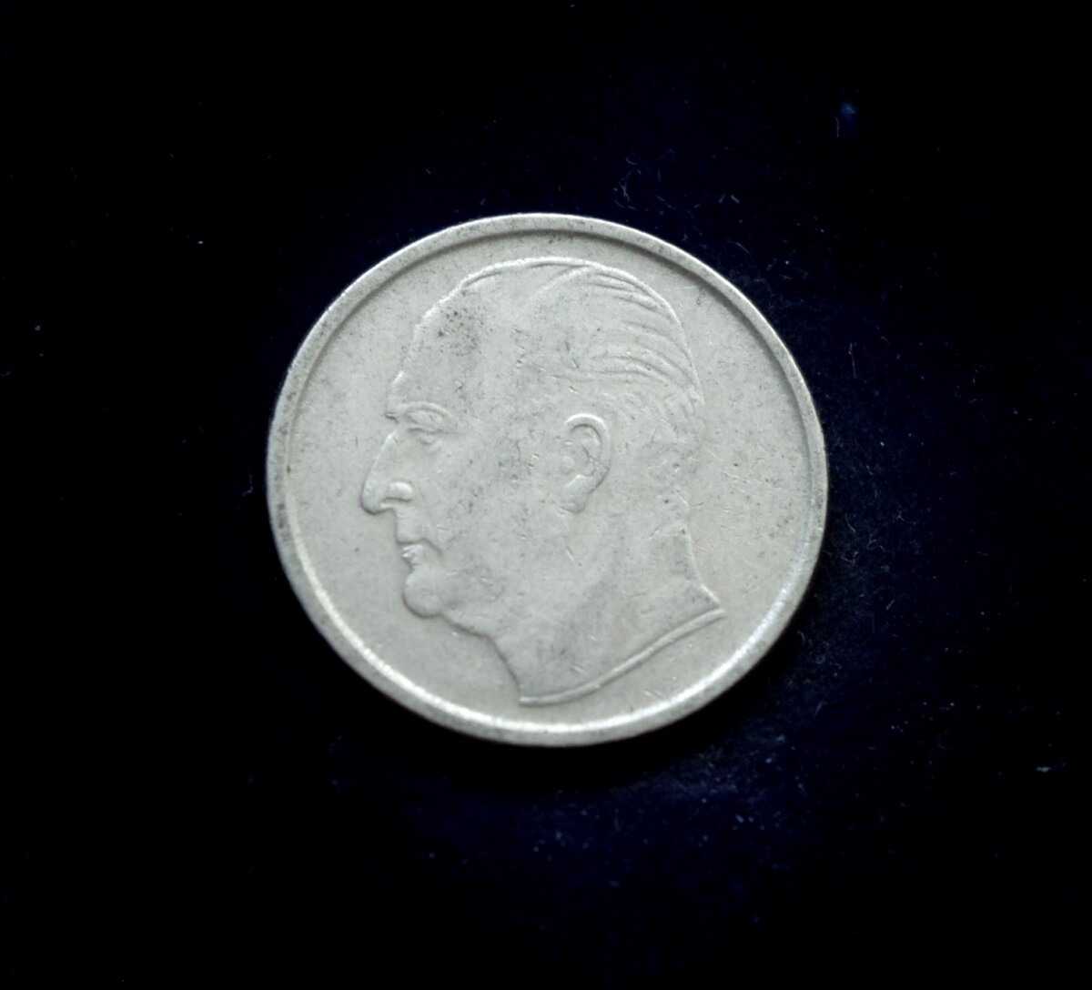 moneta, 50 erių, Norvegija, šuo