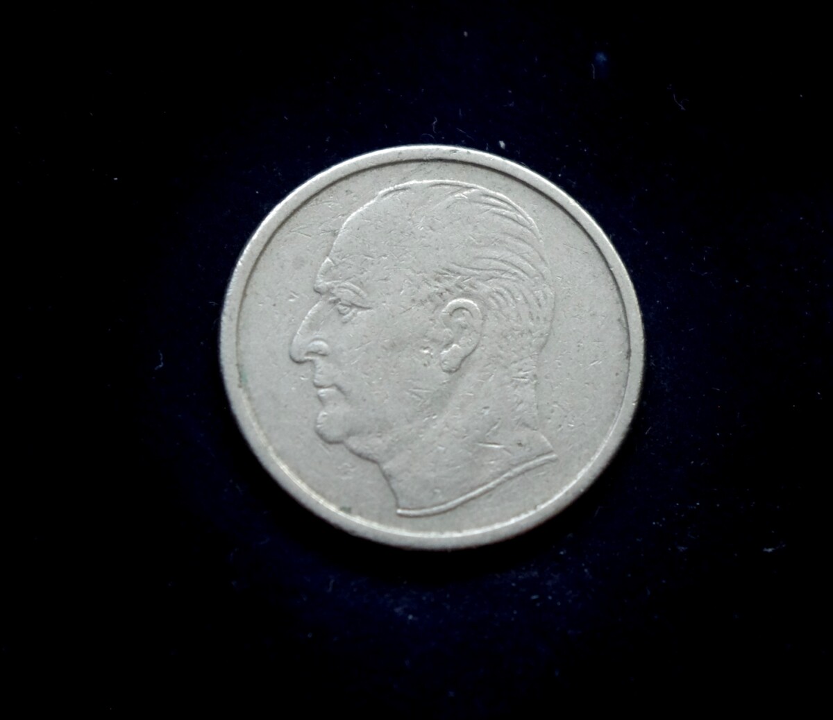 moneta, 50 erių, Norvegija, šuo
