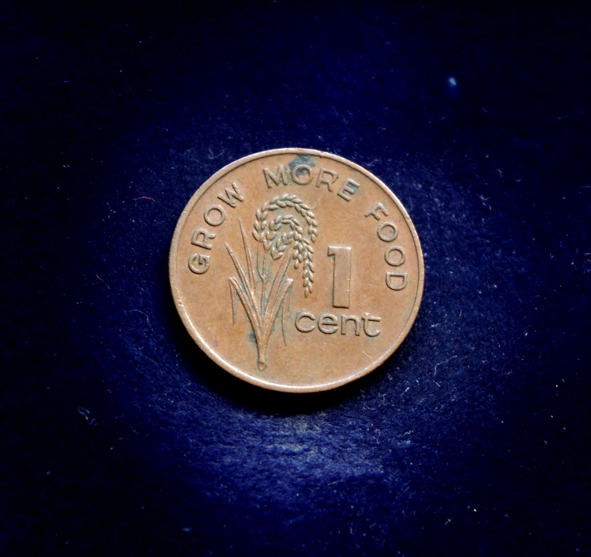 Fidžio 1 cento moneta. FAO. Ryžiai