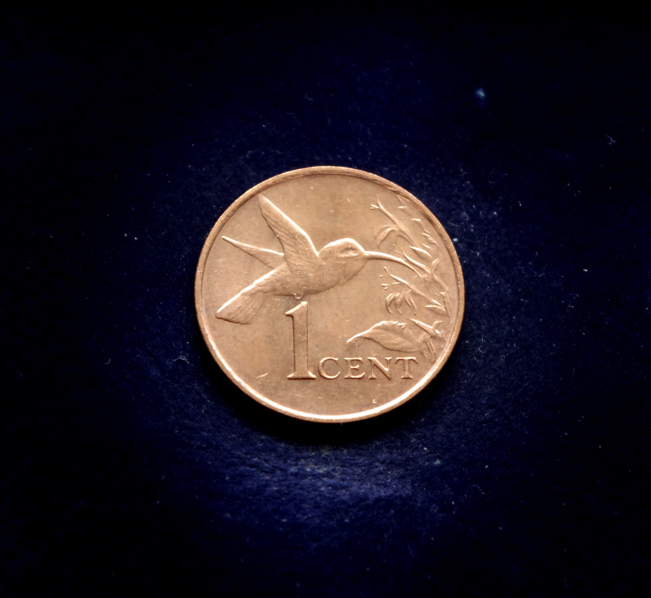 Trinidado ir Tobago 1 cento moneta. Kolibris