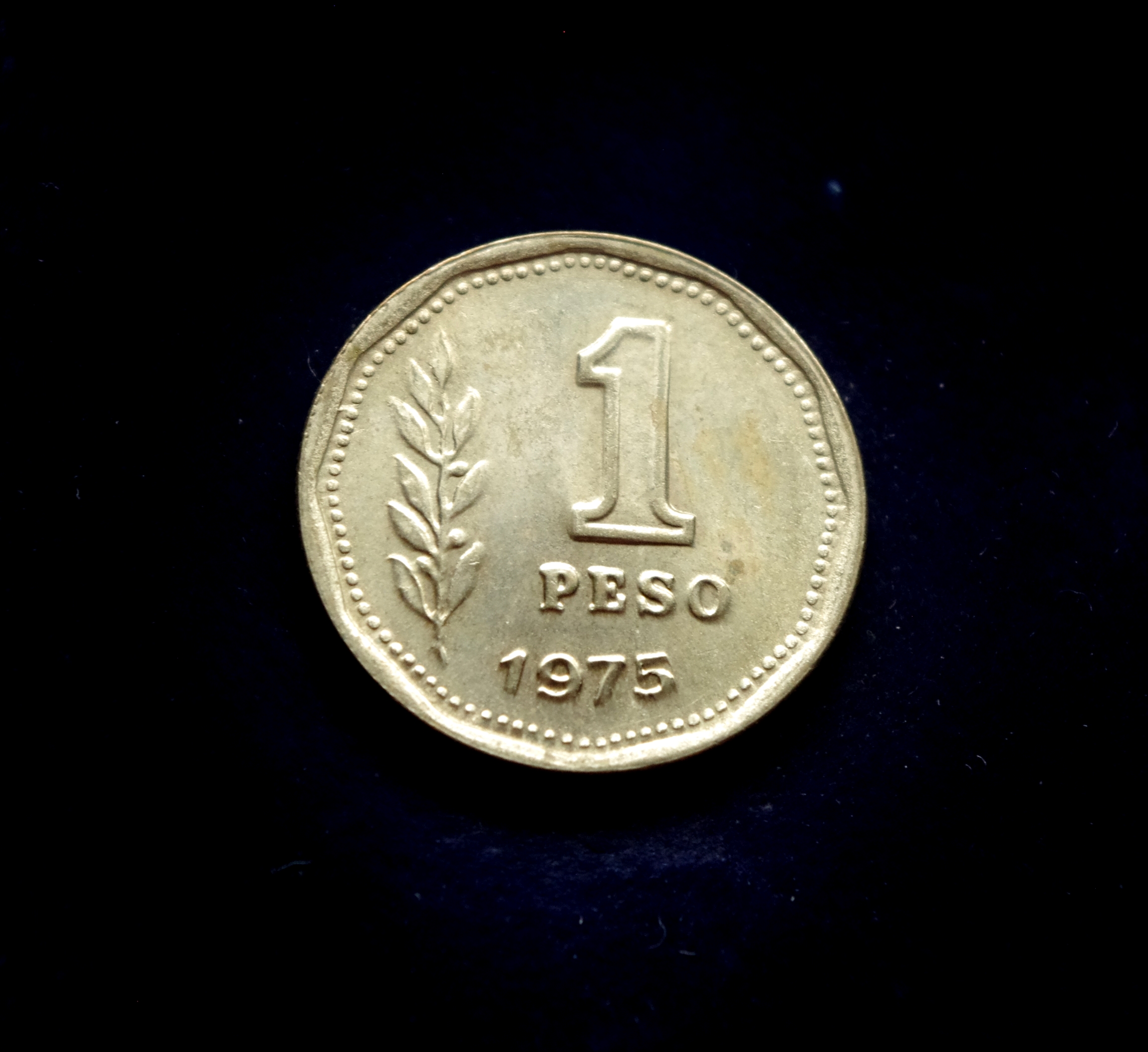 Argentinos 1 peso moneta