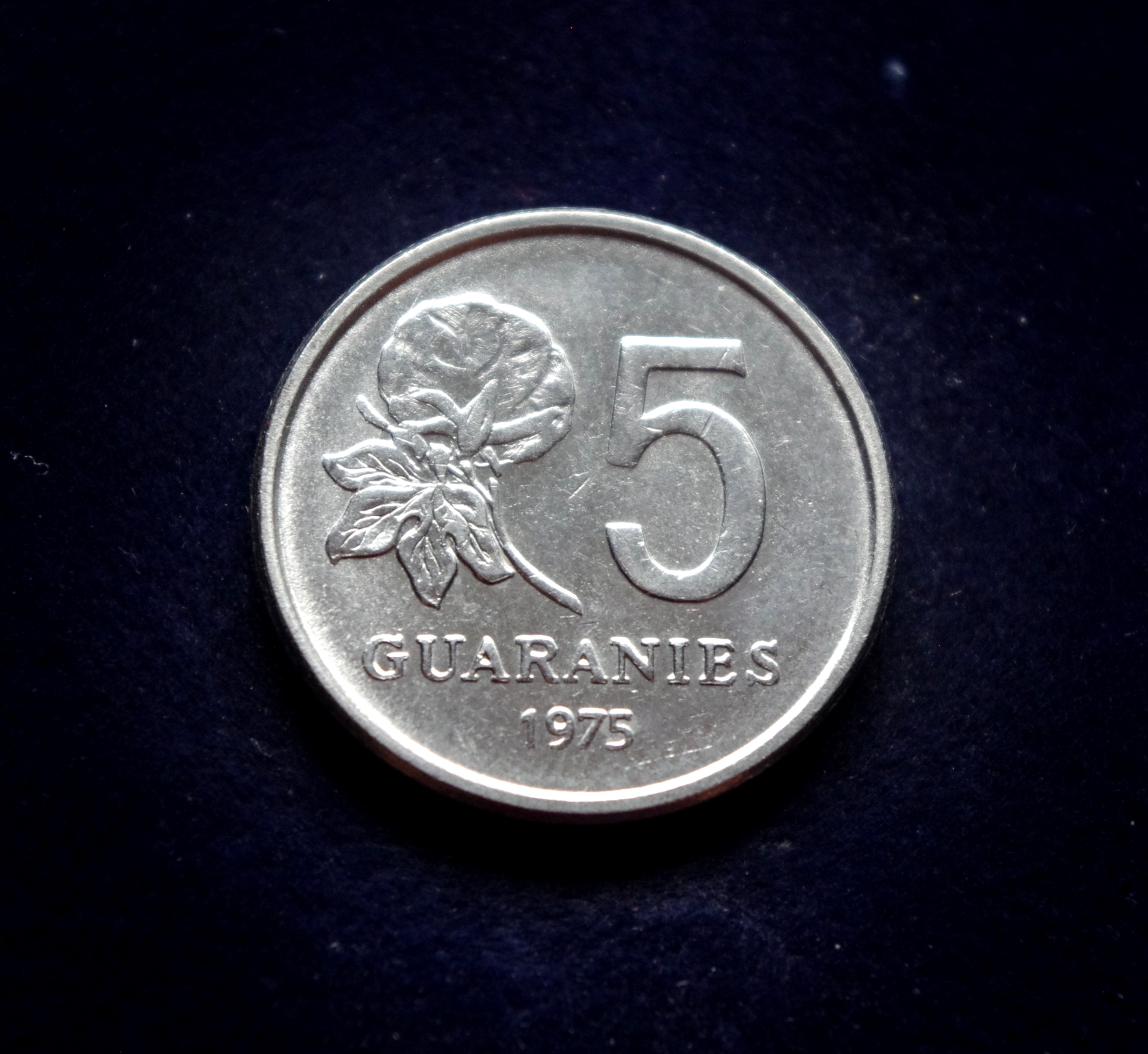 Paragvajau 5 gvaranių moneta