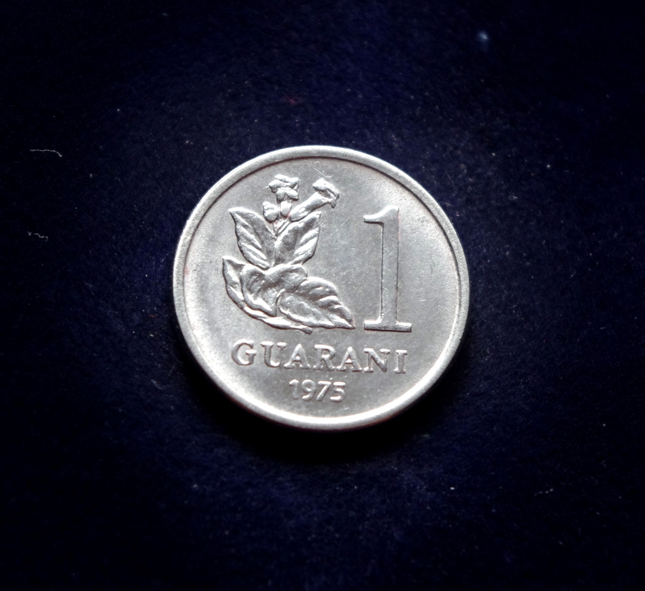 Paragvajau 1 gvaranio moneta