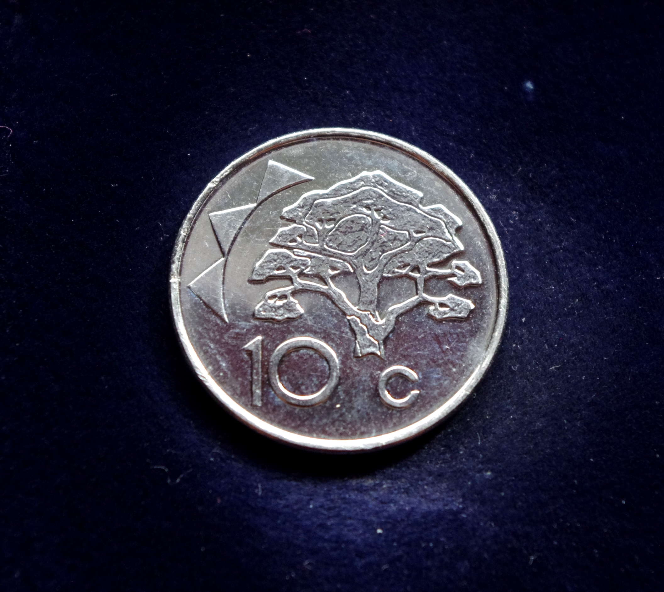 Namibijos 10 centų moneta. Pūkuotoji akacija (Vachellia erioloba)