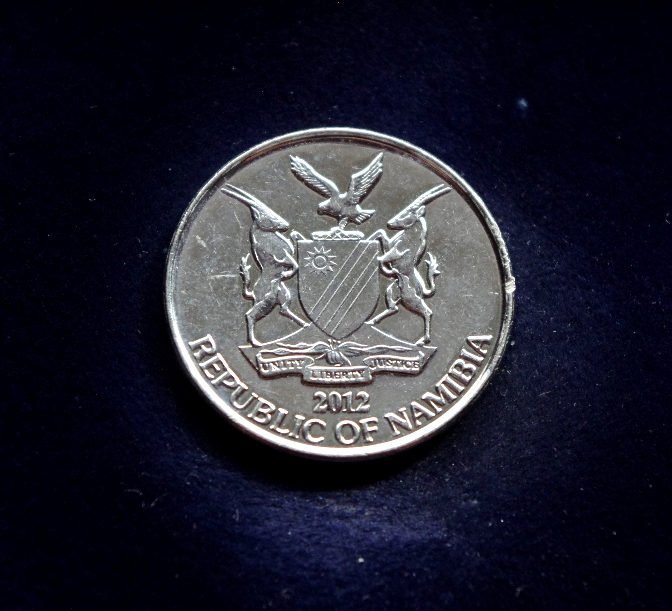 Namibijos 10 centų moneta. Pūkuotoji akacija (Vachellia erioloba)