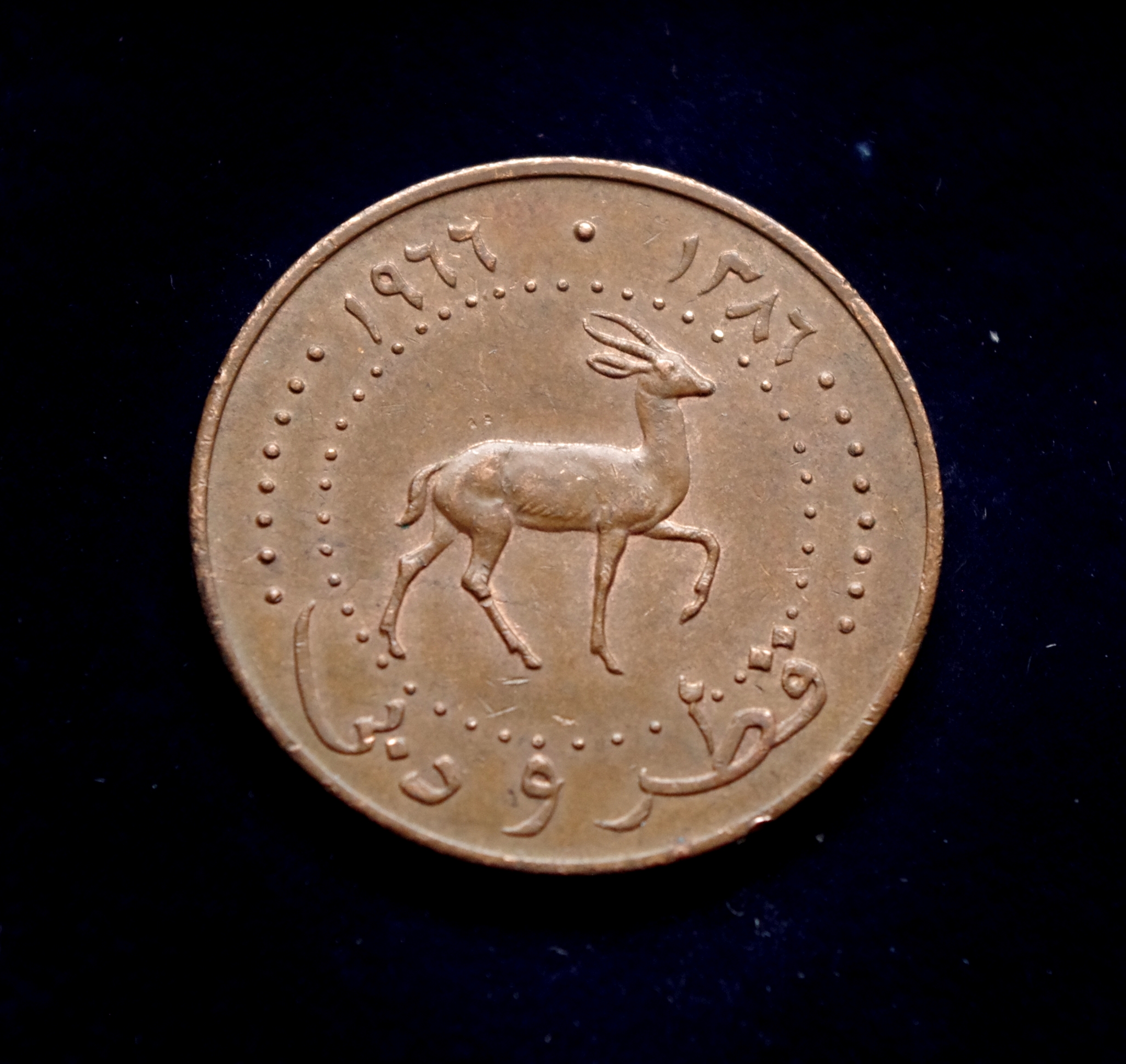 IMGP0108 Kataro ir Dubajaus 10 dirhamų moneta