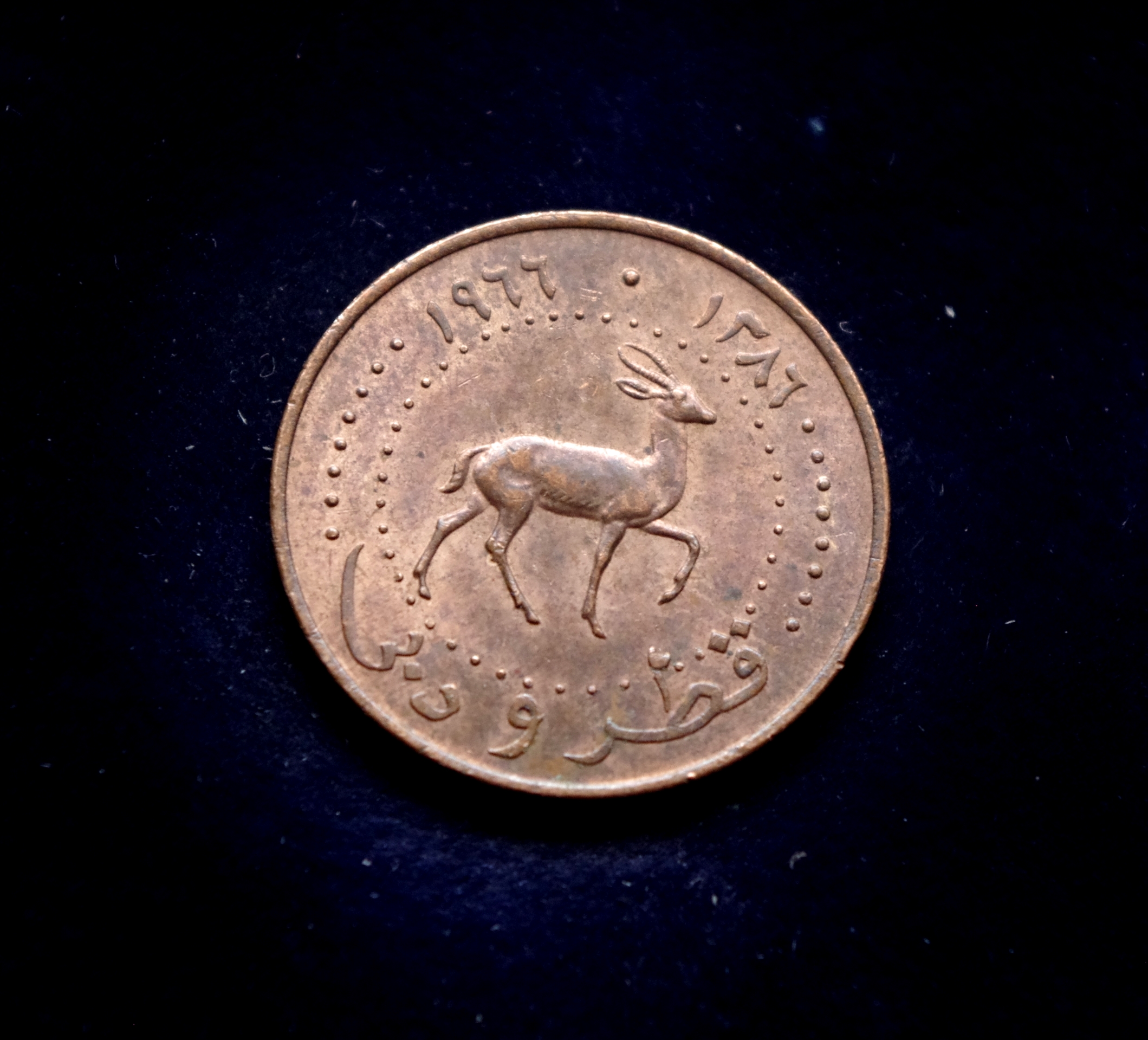 Kataro ir Dubajaus 5 dirhamų moneta