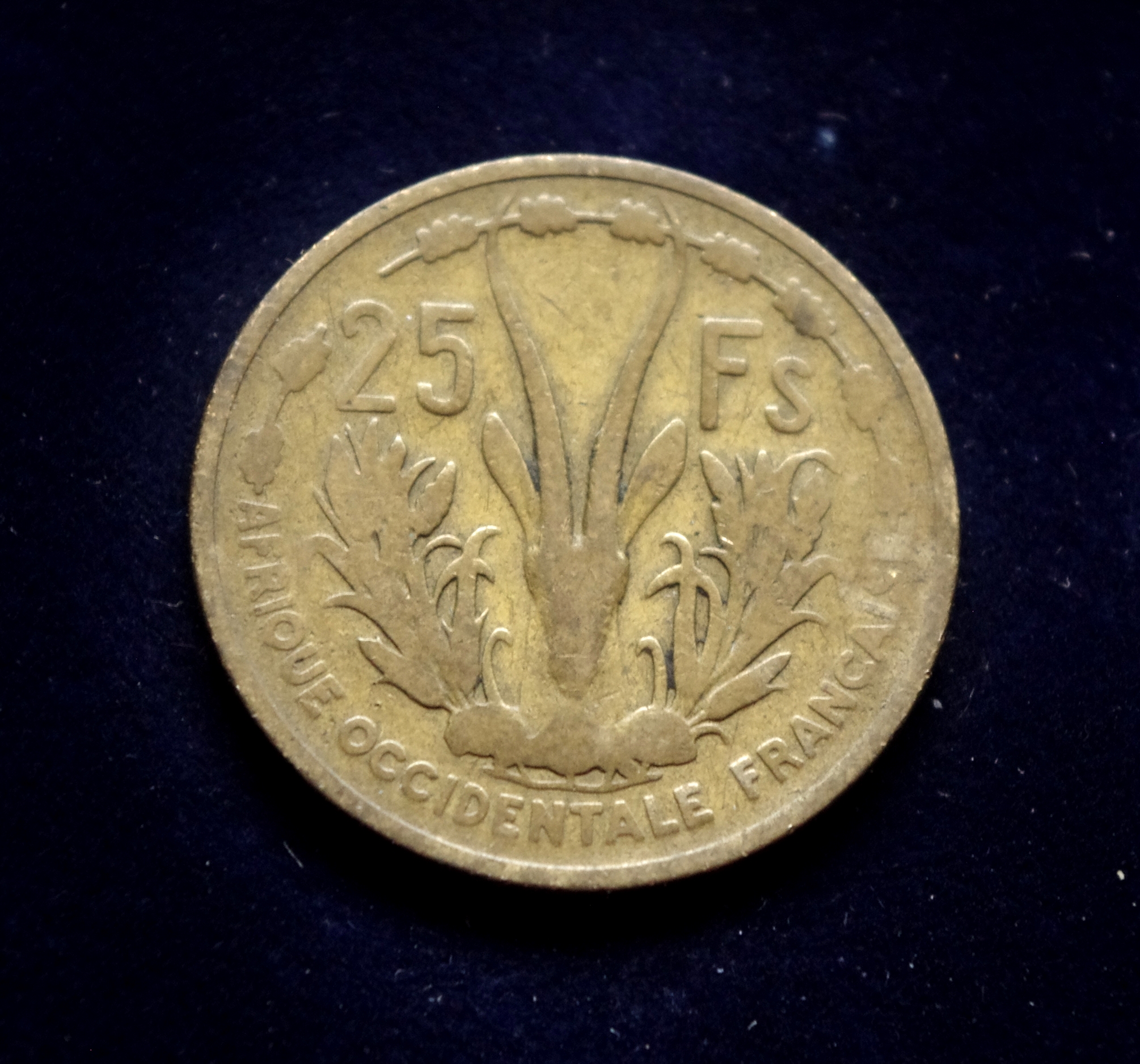 Prancūzijos Vakarų Afrikos 25 frankų moneta