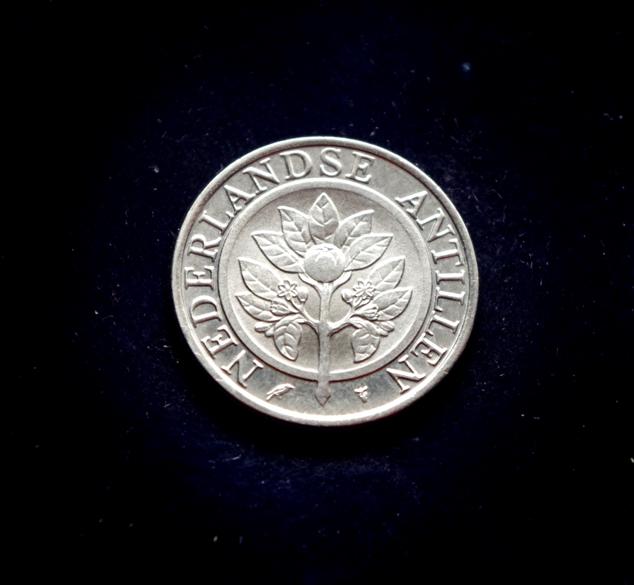 Nyderlandų Antilų 25 centų moneta