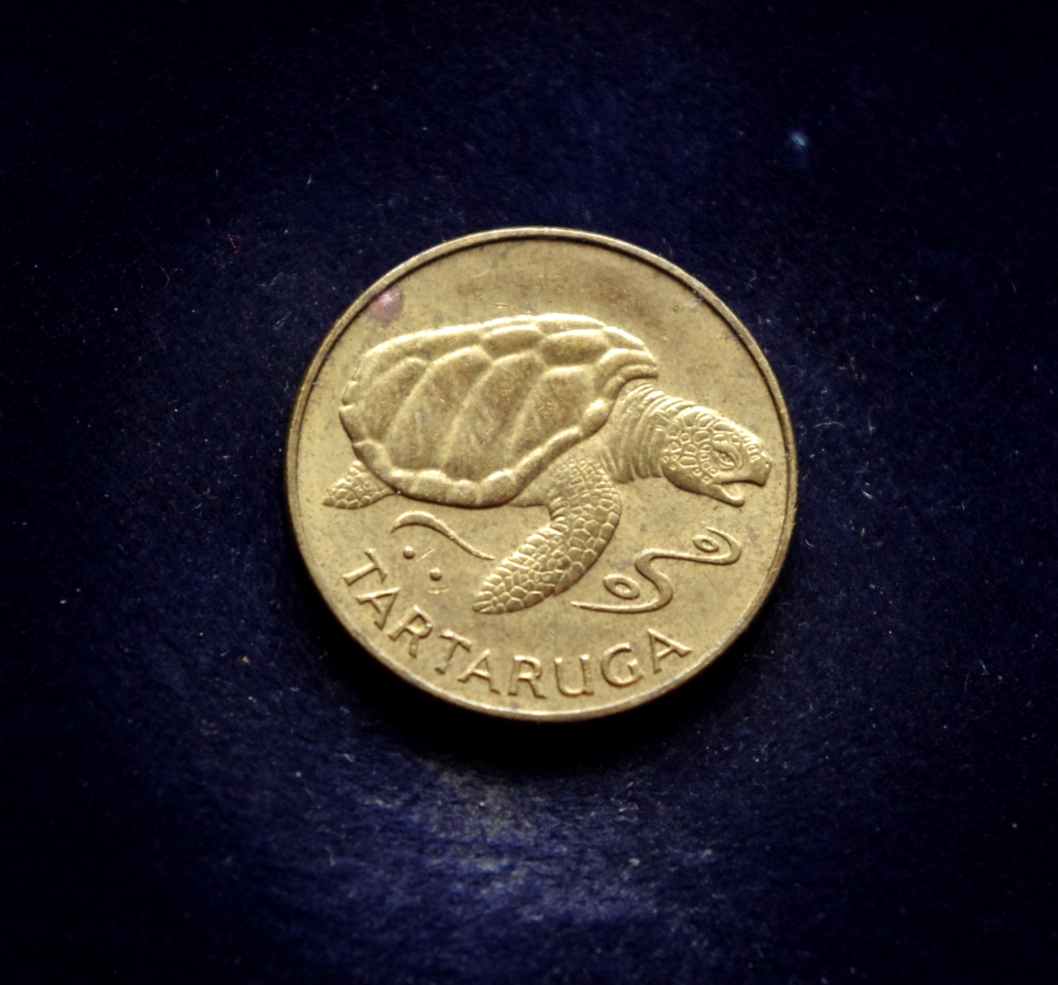 Žaliojo Kyšulio 1 eskudo proginė moneta. Vėžlys